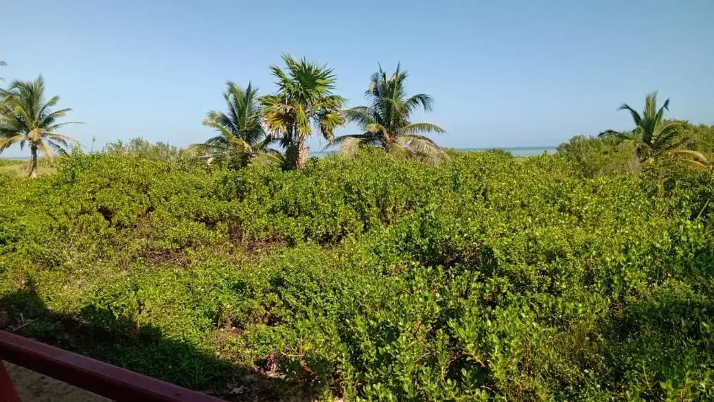 Queen Room with Sea View in Cabañas El Cuyo Queen Room with Sea View in Cabañas El Cuyo