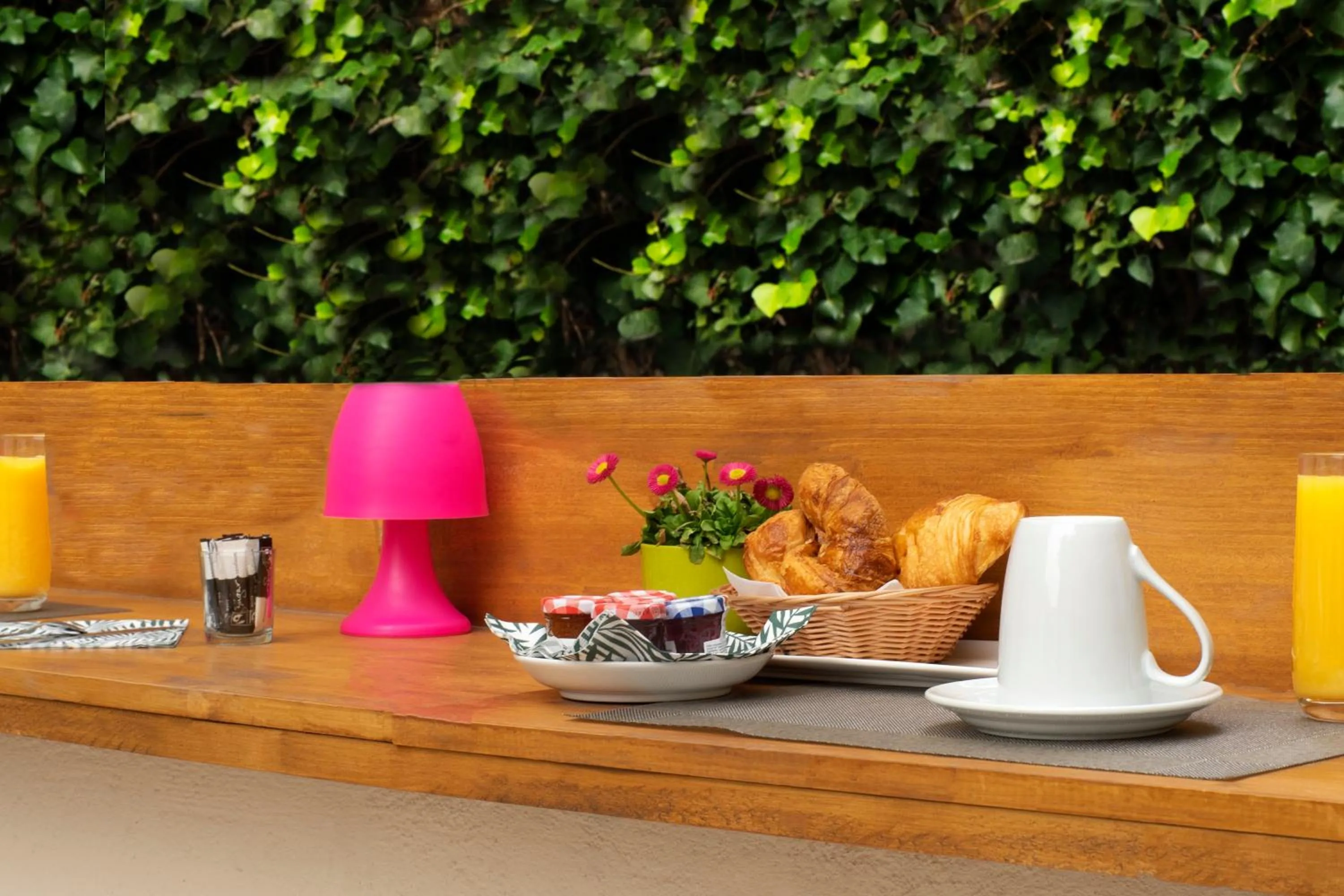 Garden in Hôtel Bellevue Cannes