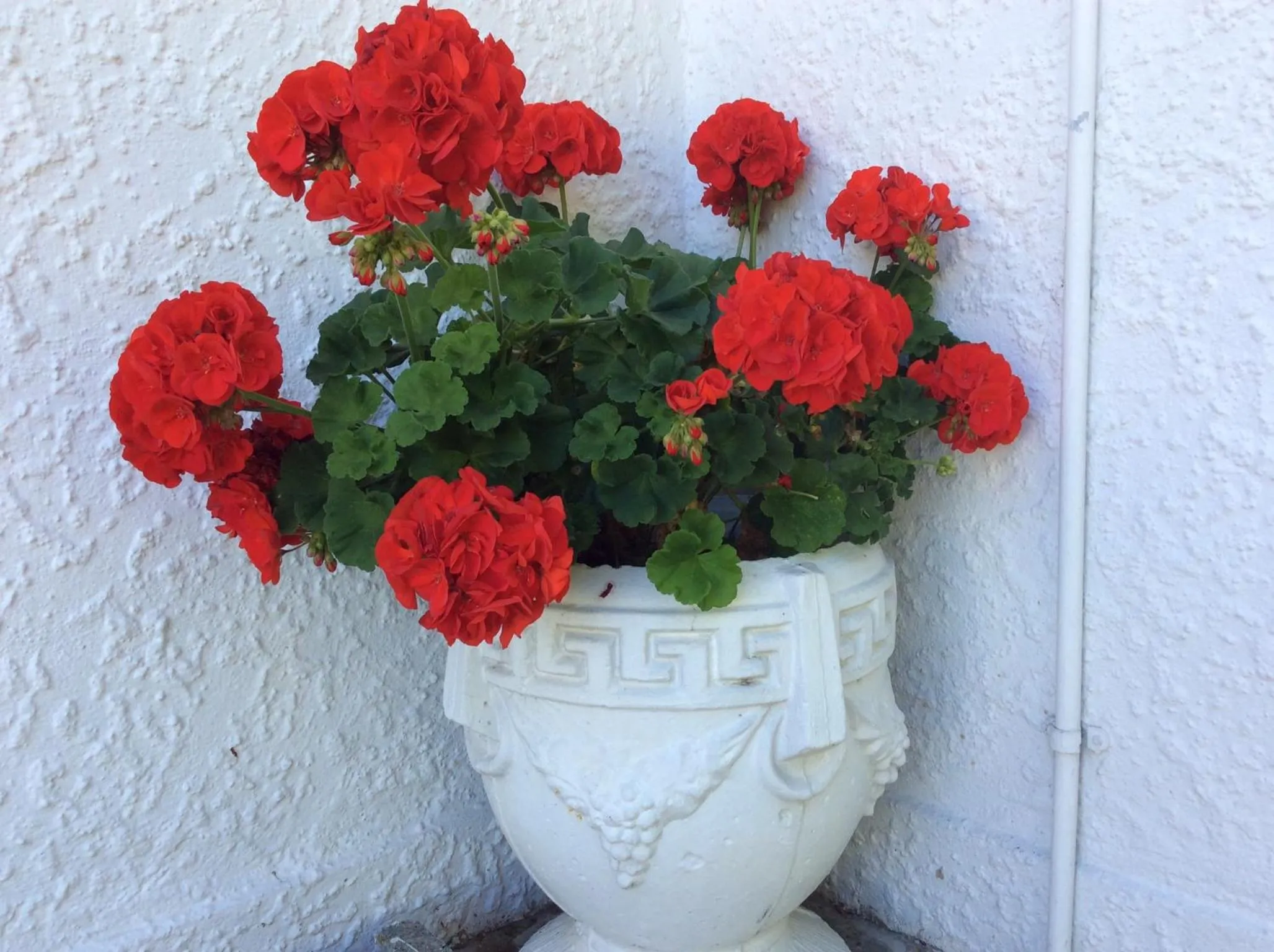 Other in Waimarie on Riverside Motel & Apartments