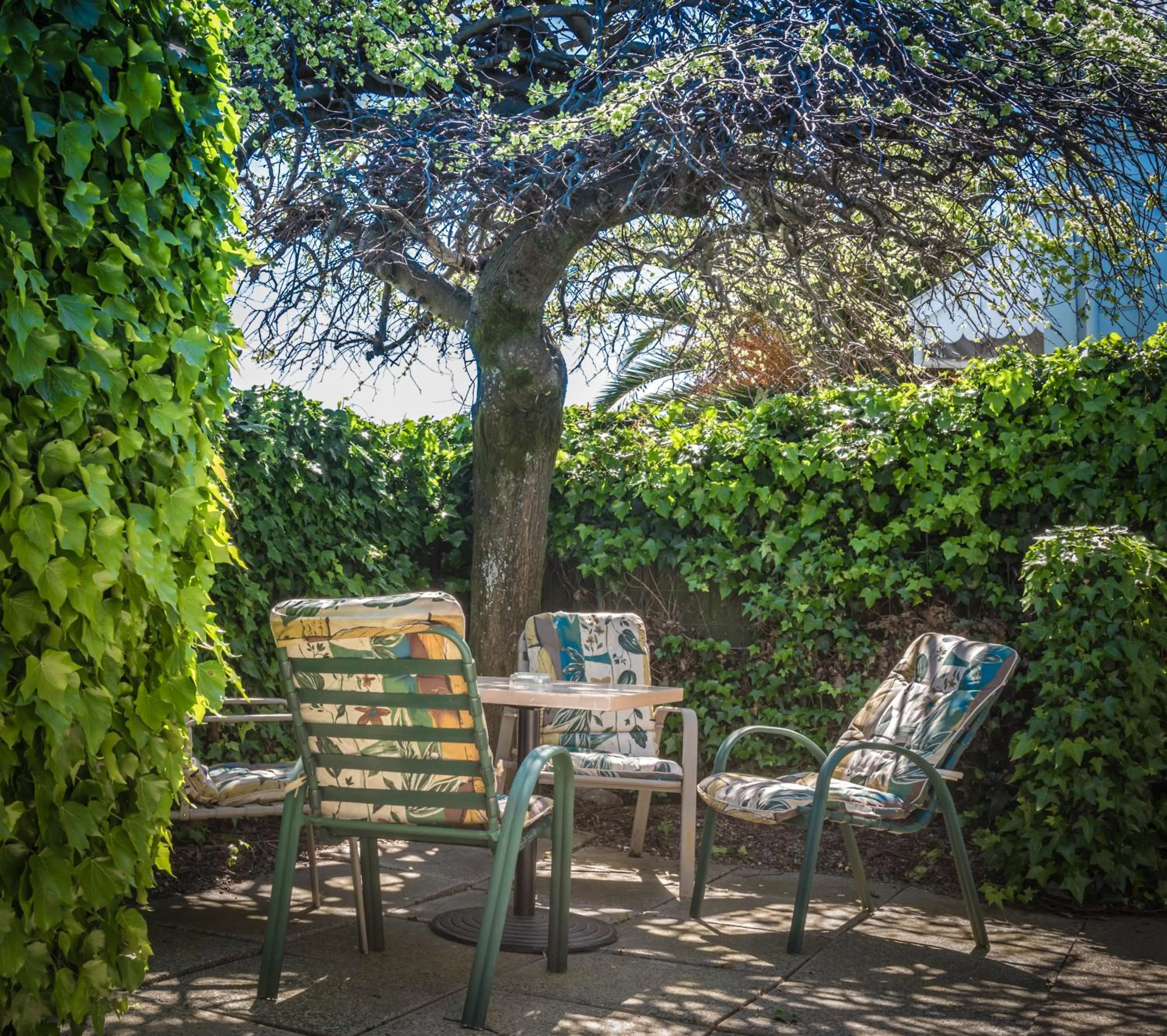 Balcony/Terrace in Waimarie on Riverside Motel & Apartments