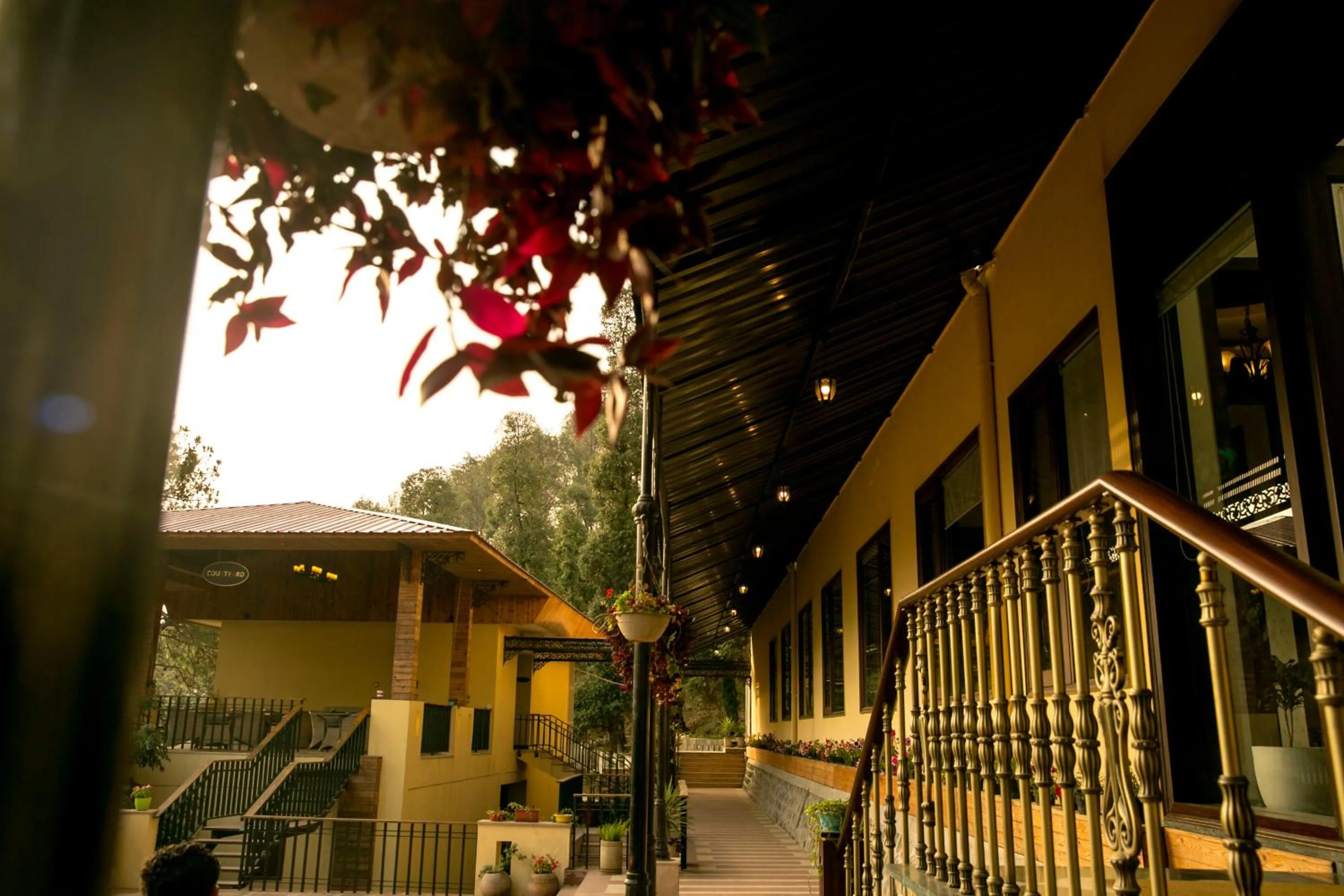 Facade/entrance in The Fern Hillside Resort Bhimtal