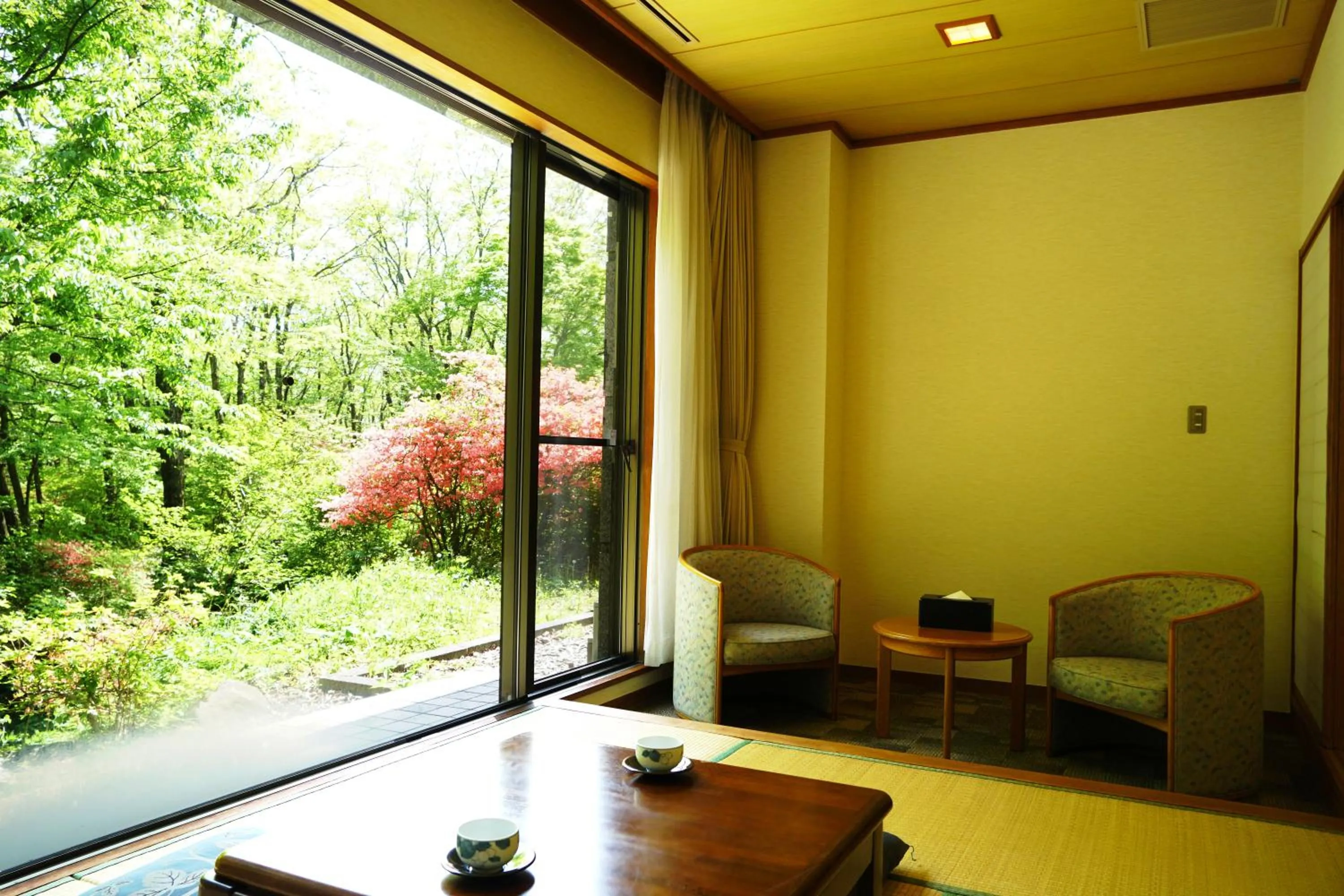 Garden view in Blancvert Nasu Onsen Hotel