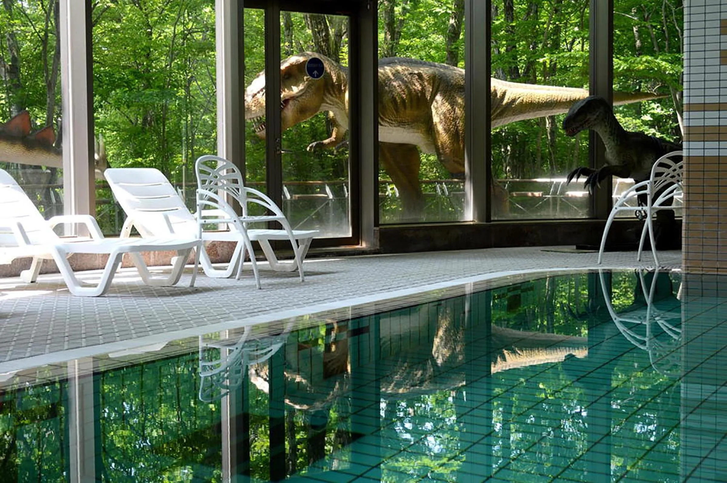 Swimming pool in Blancvert Nasu Onsen Hotel