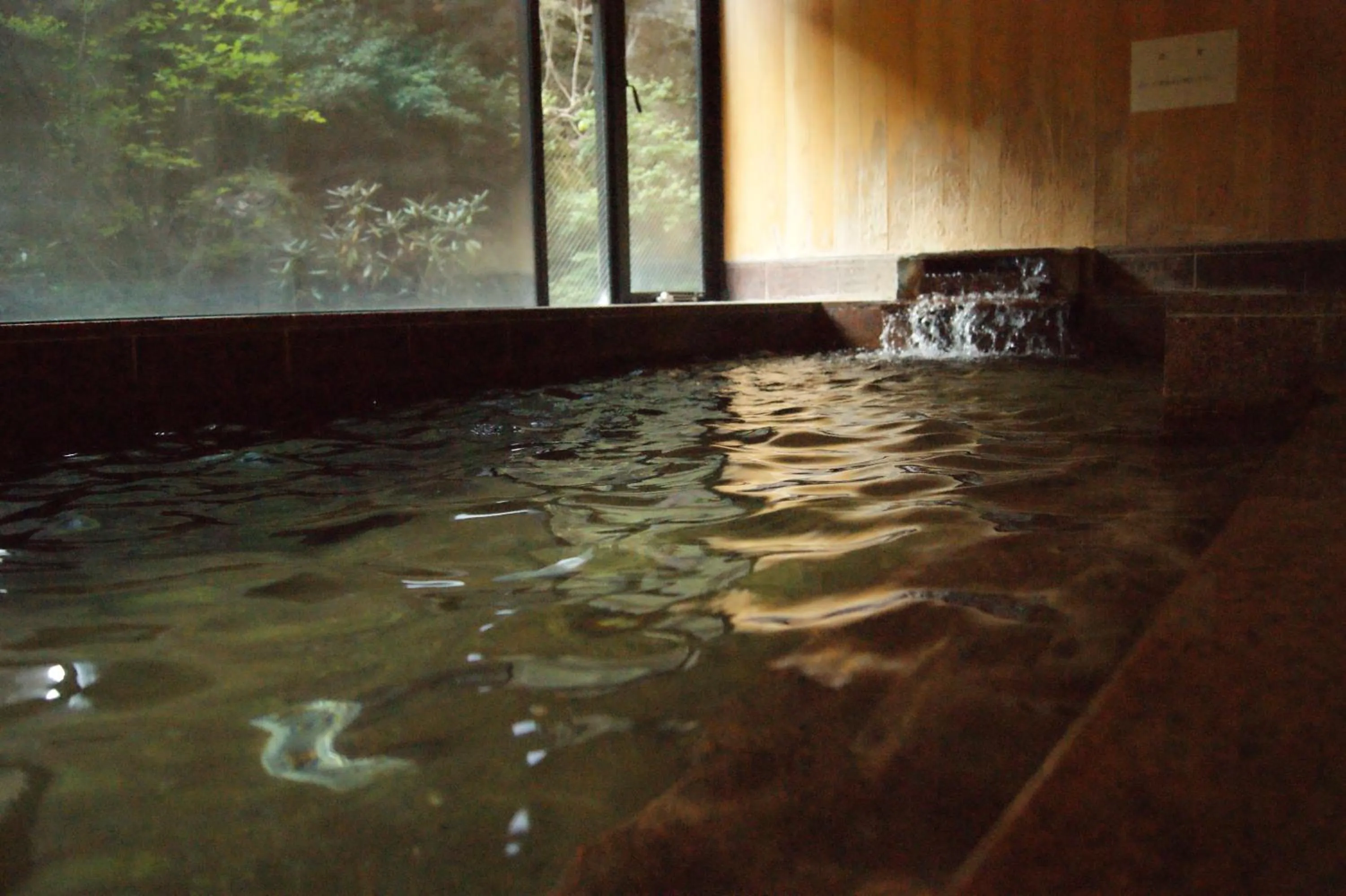 Hot Spring Bath in Wakamizusou