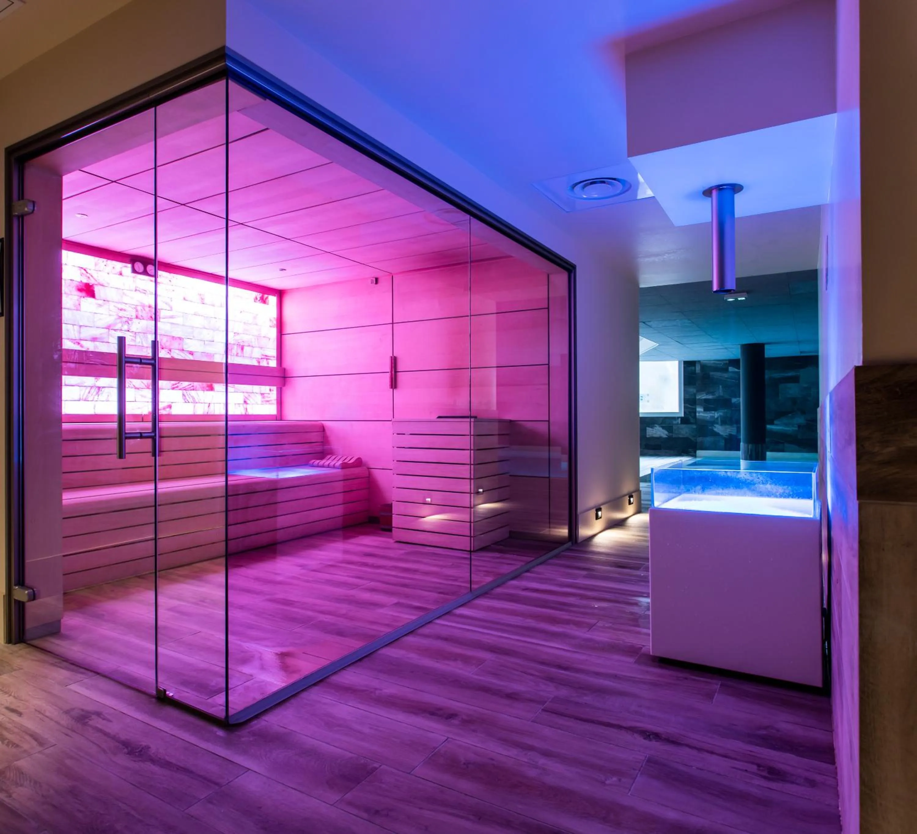 Sauna, Bed in Garden & City Cauterets Balneo