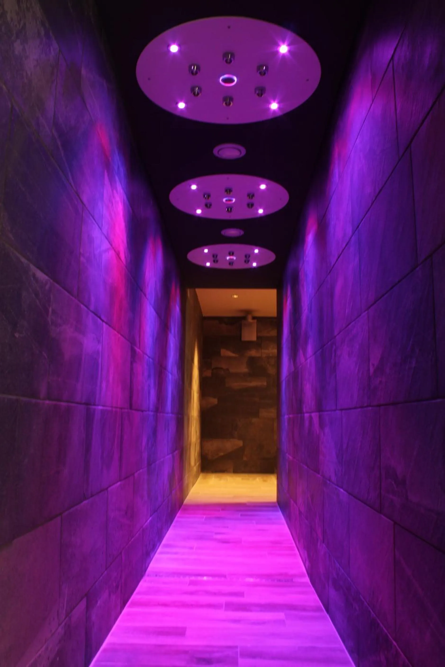 Spa and wellness centre/facilities in Garden & City Cauterets Balneo