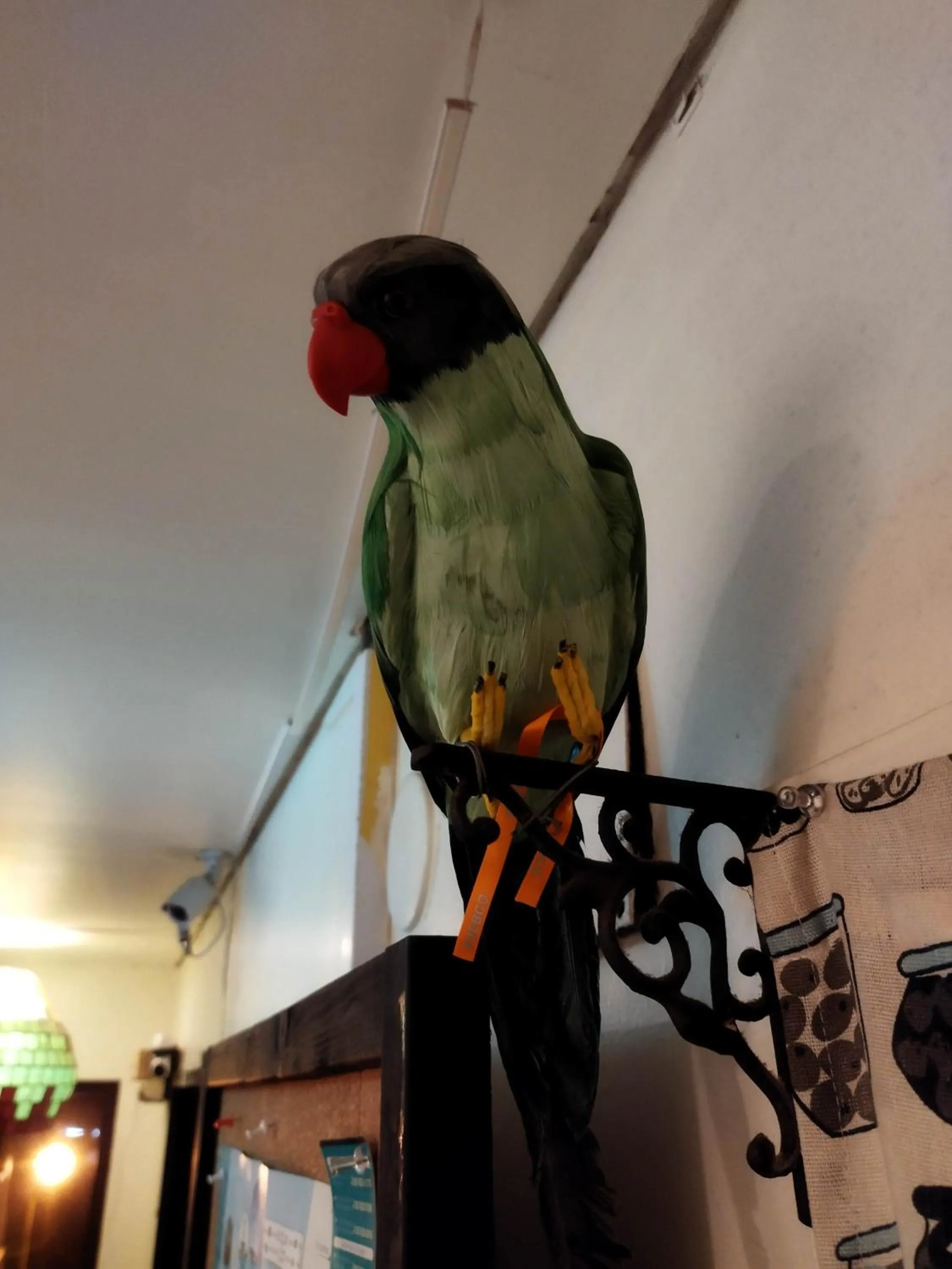 Takamatsu Guesthouse BJ Station