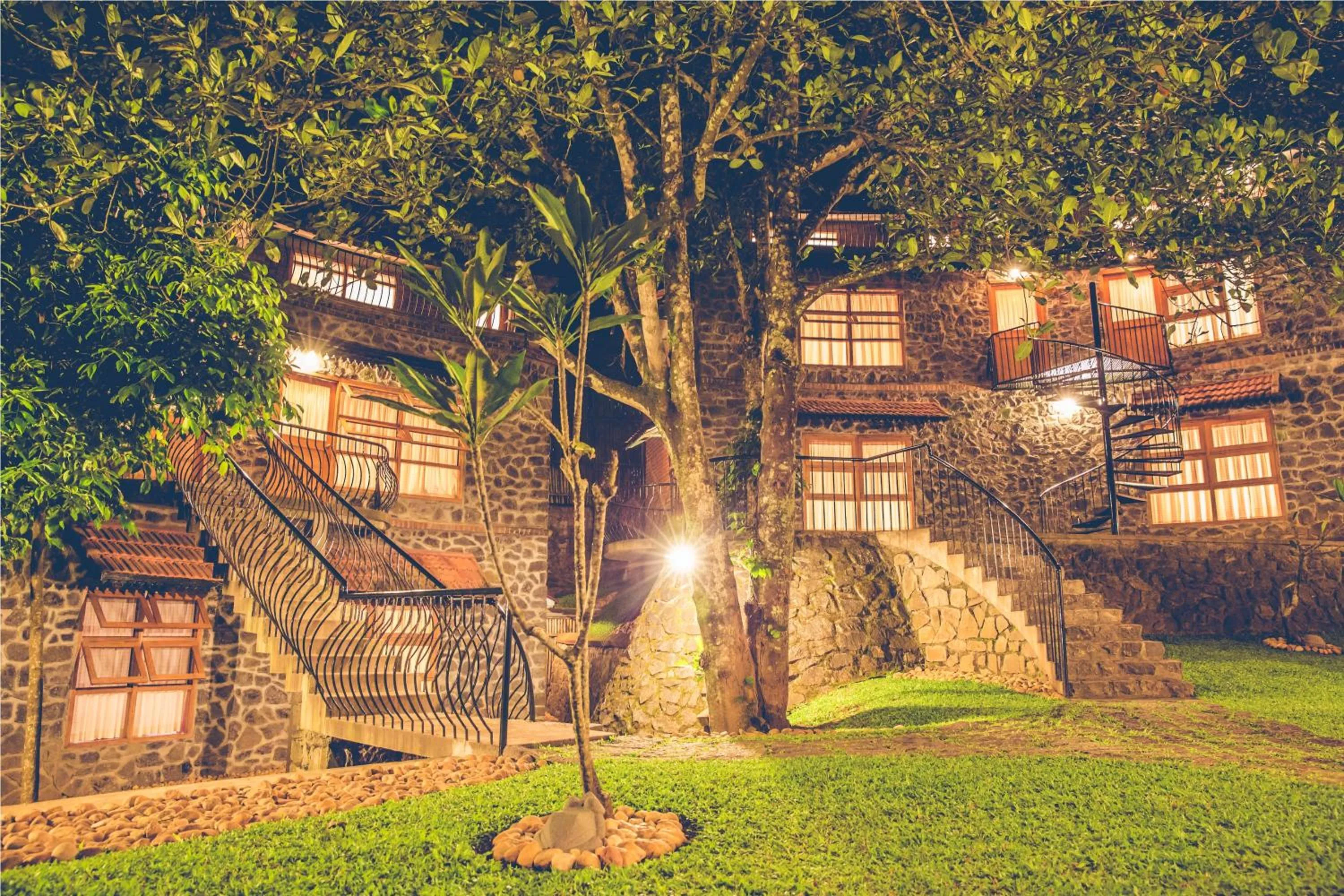 Garden in Wildernest