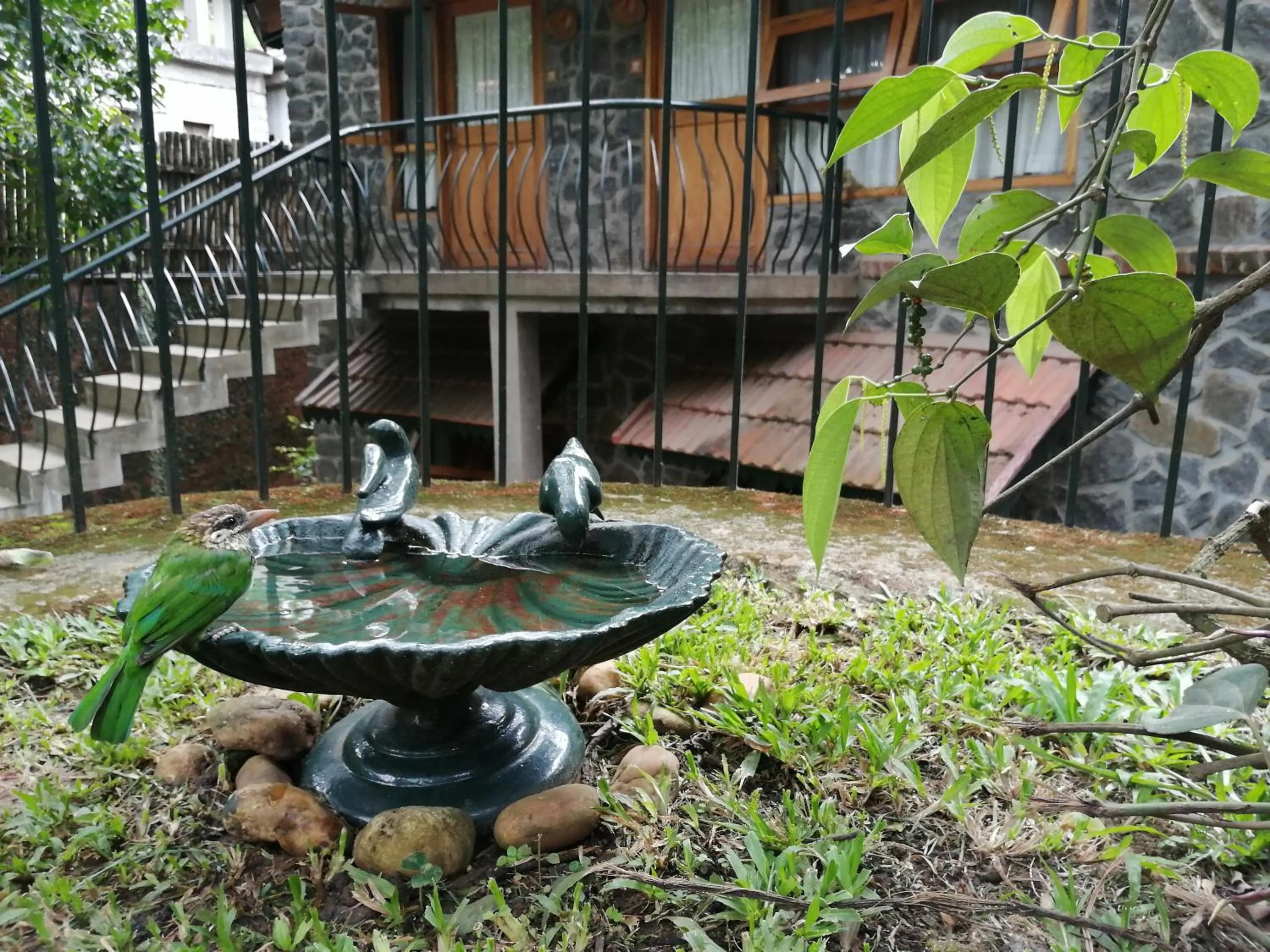 Garden view in Wildernest