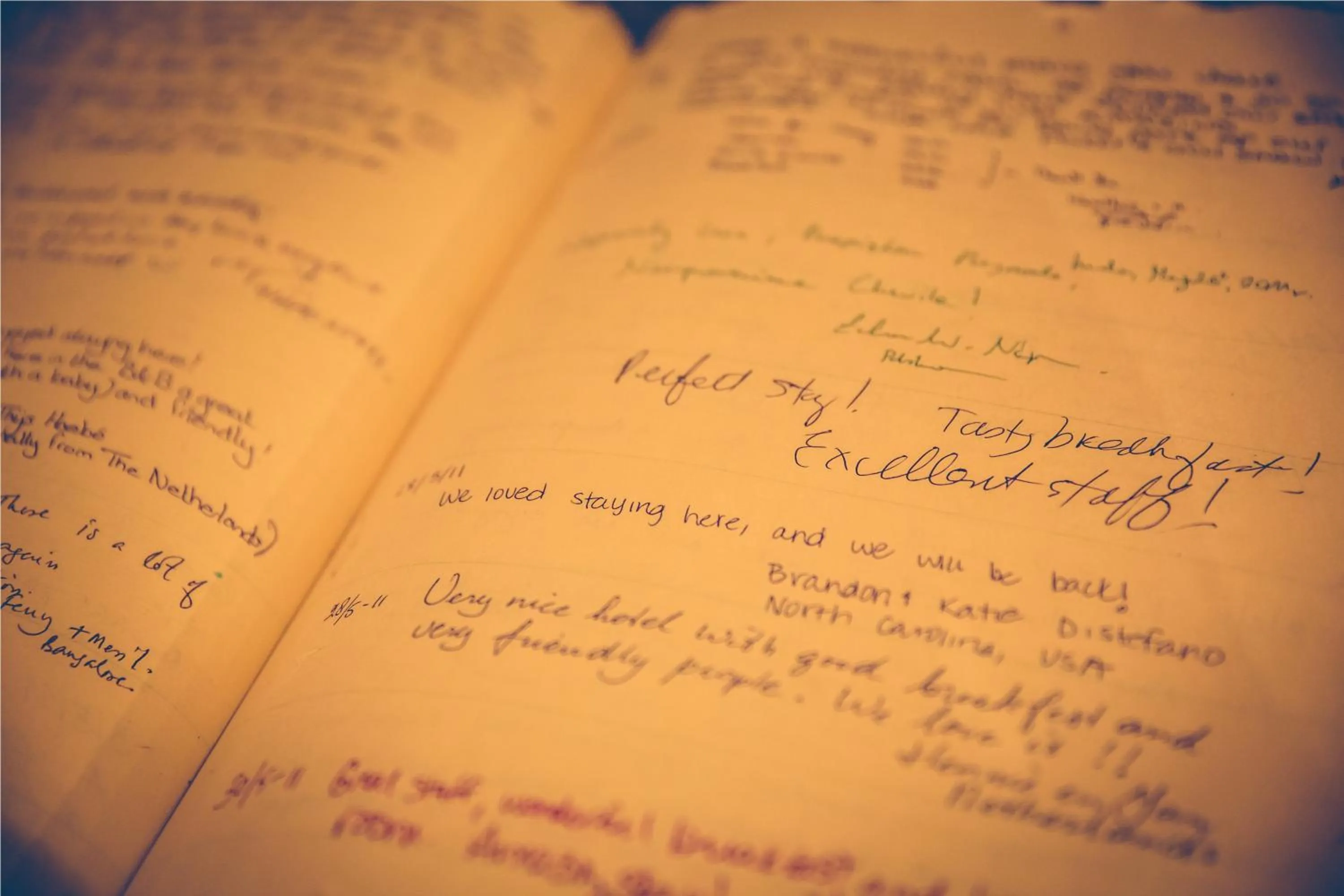 Decorative detail in Wildernest