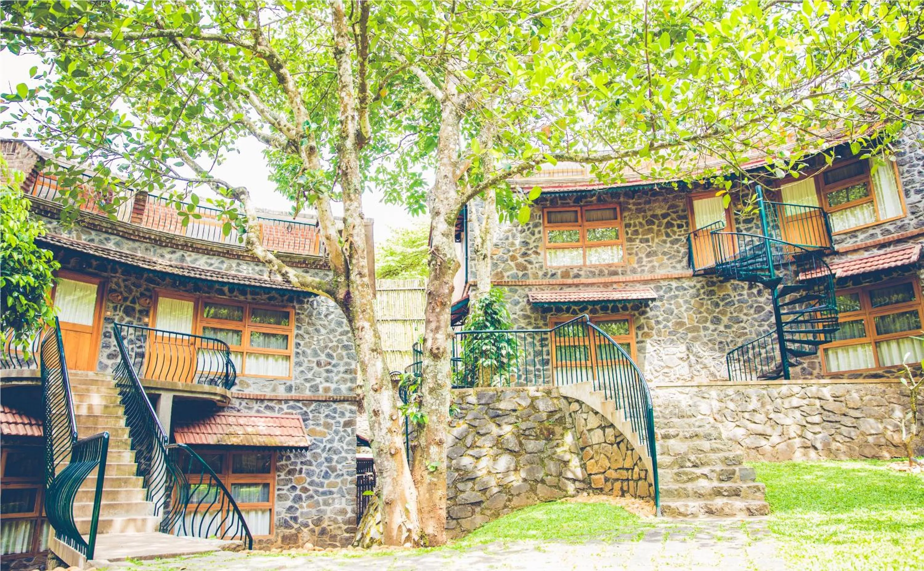 Garden in Wildernest