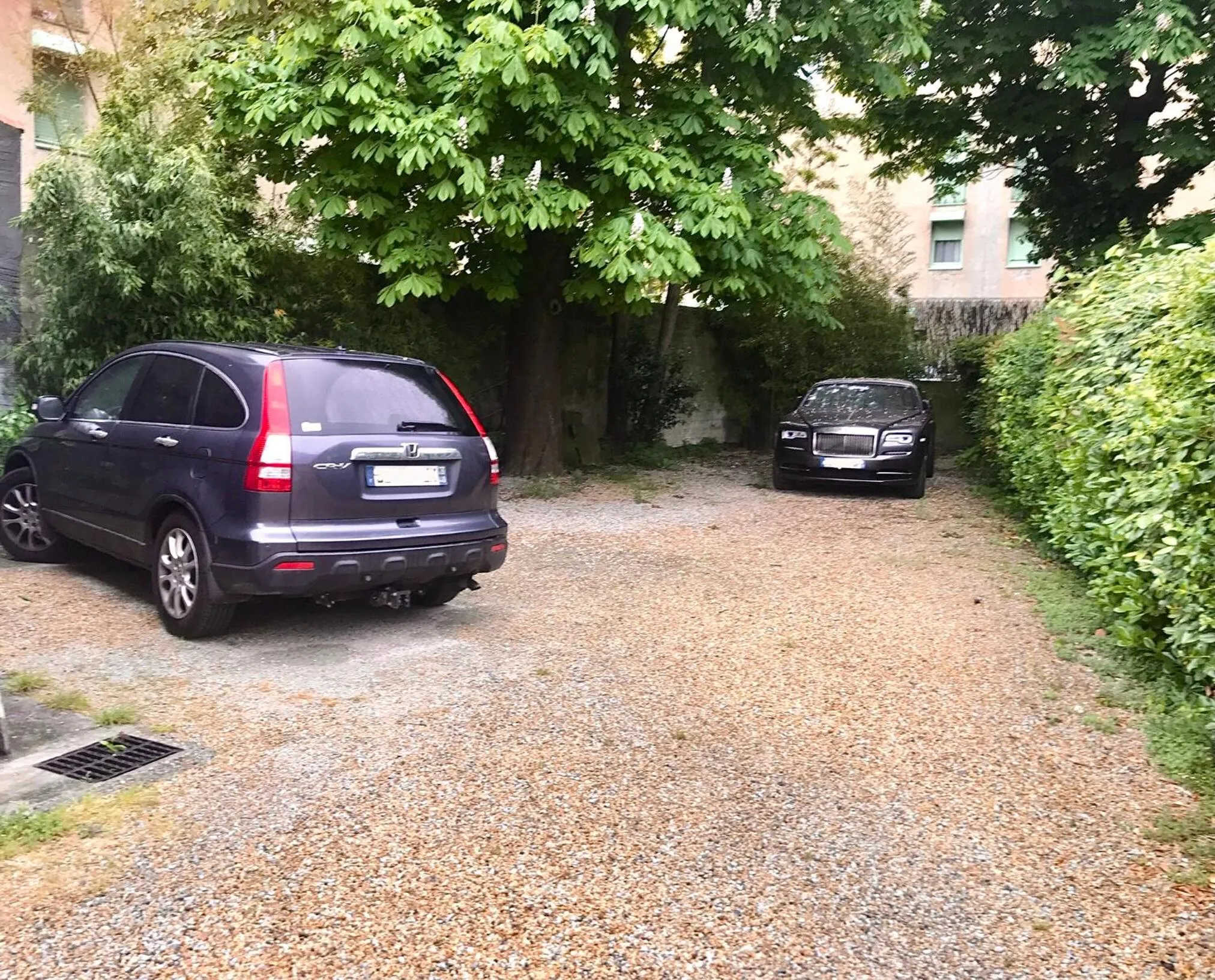 Garden in Demeure Saint Louis Historic manor, City 700m, free parking,A C,Clim,WIFI, city view, Garden