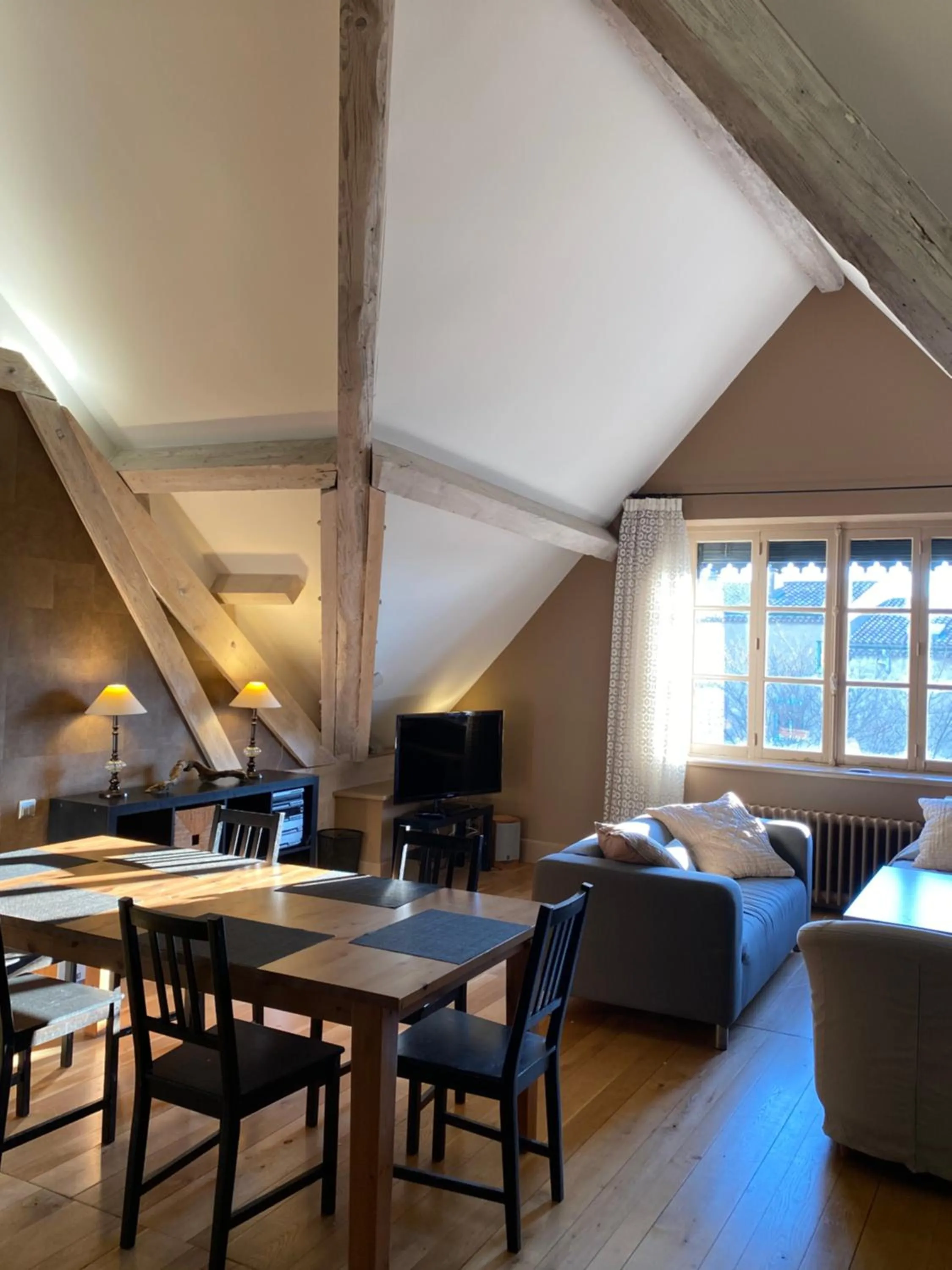 Living room in Demeure Saint Louis Historic manor, City 700m, free parking,A C,Clim,WIFI, city view, Garden