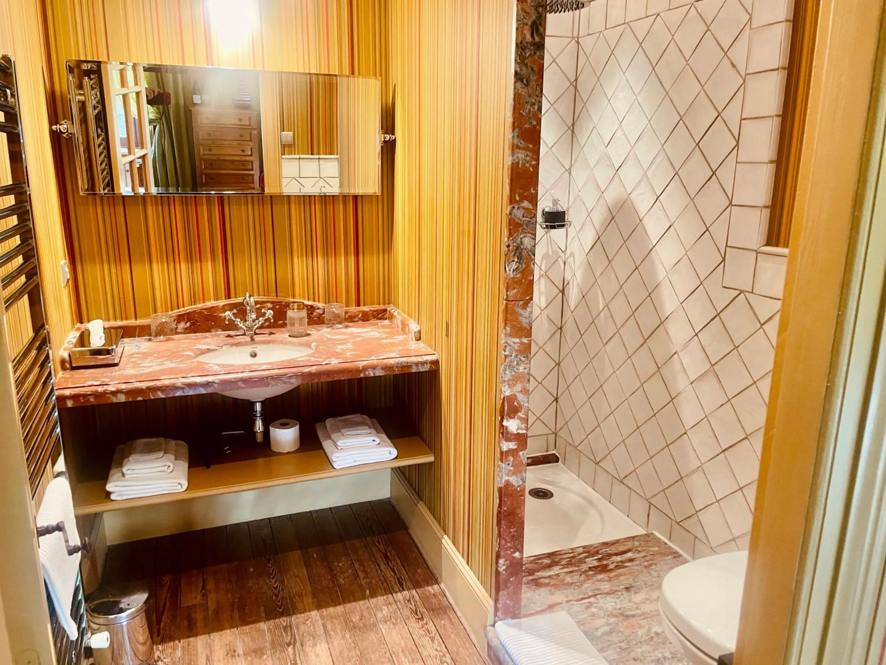 Demeure Saint Louis Historic manor, City 700m, free parking,A C,Clim,WIFI, city view, Garden