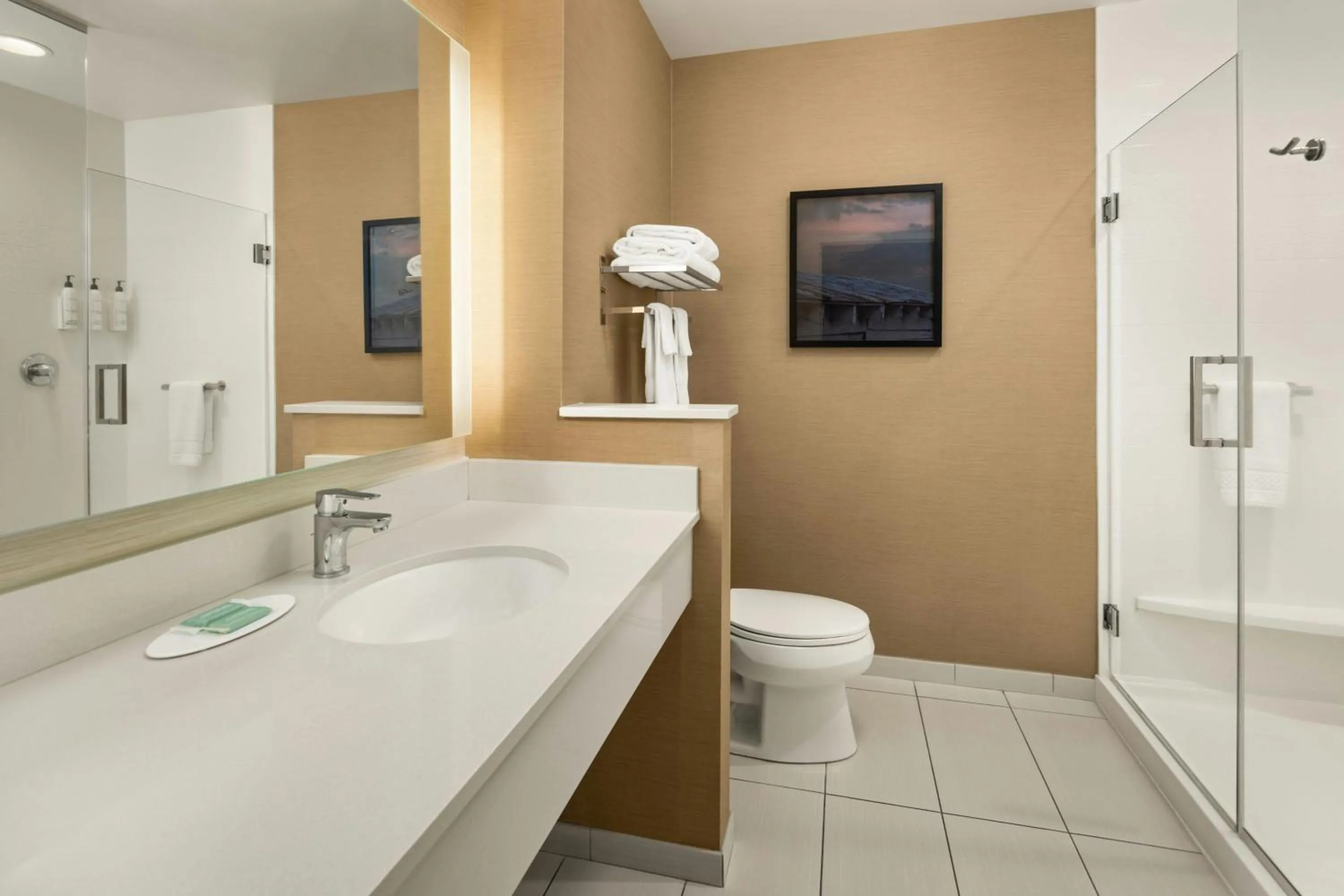 Bathroom in Fairfield Inn & Suites by Marriott La Crosse Downtown