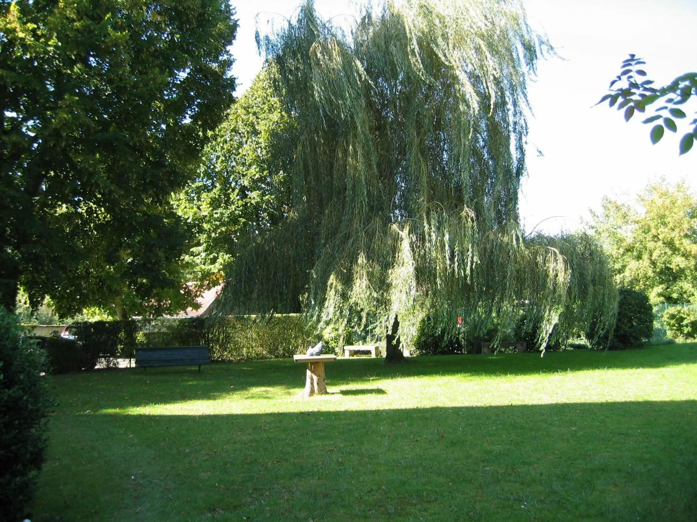 Garden in Hôtel & Restaurant Le Relais d'Aumale