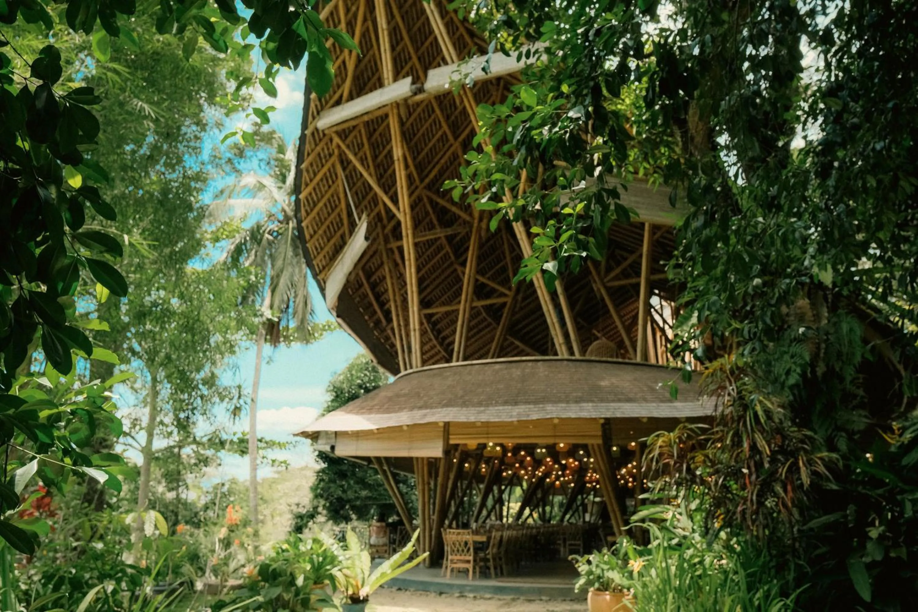 Ecolodge Bukit Lawang