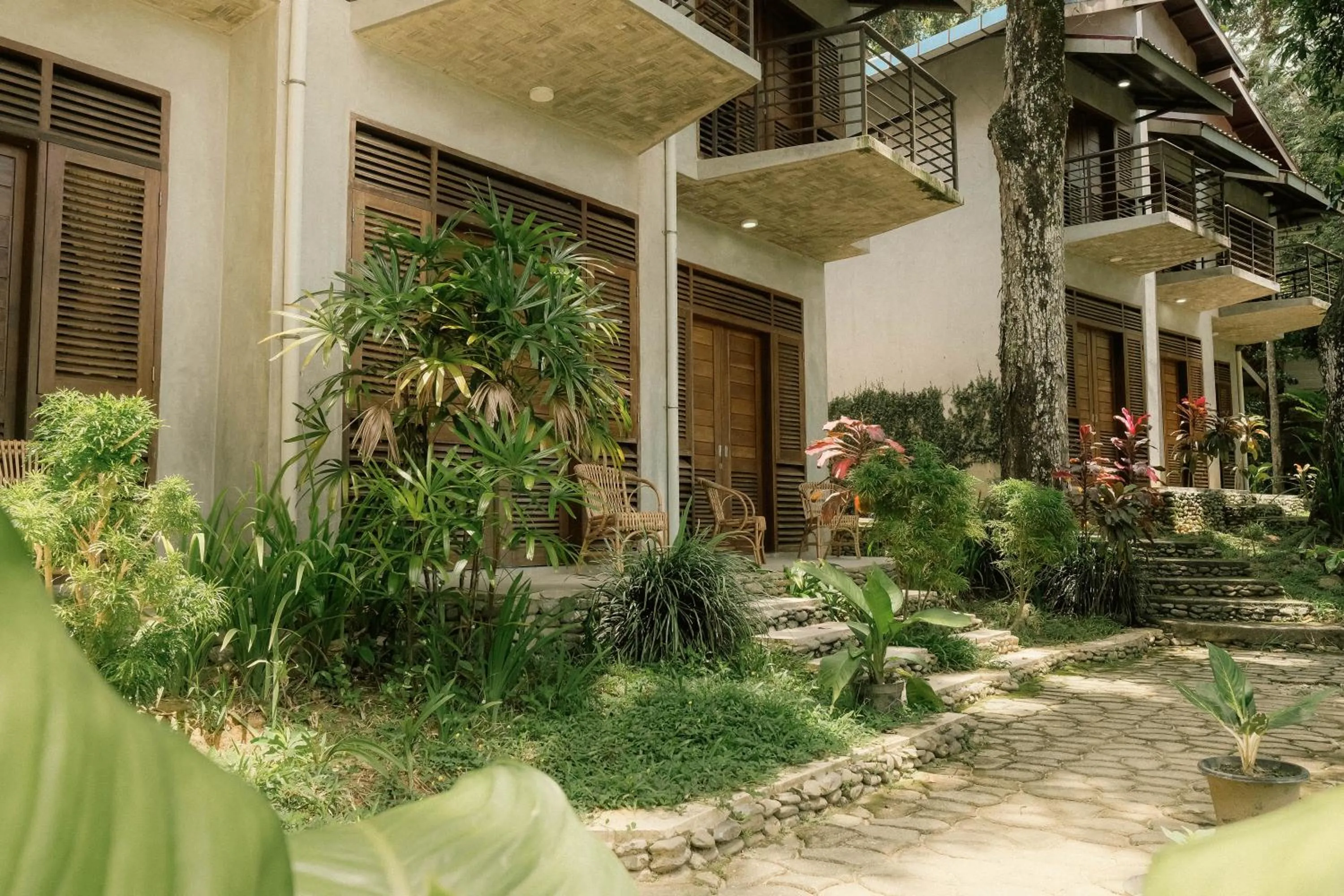 Ecolodge Bukit Lawang