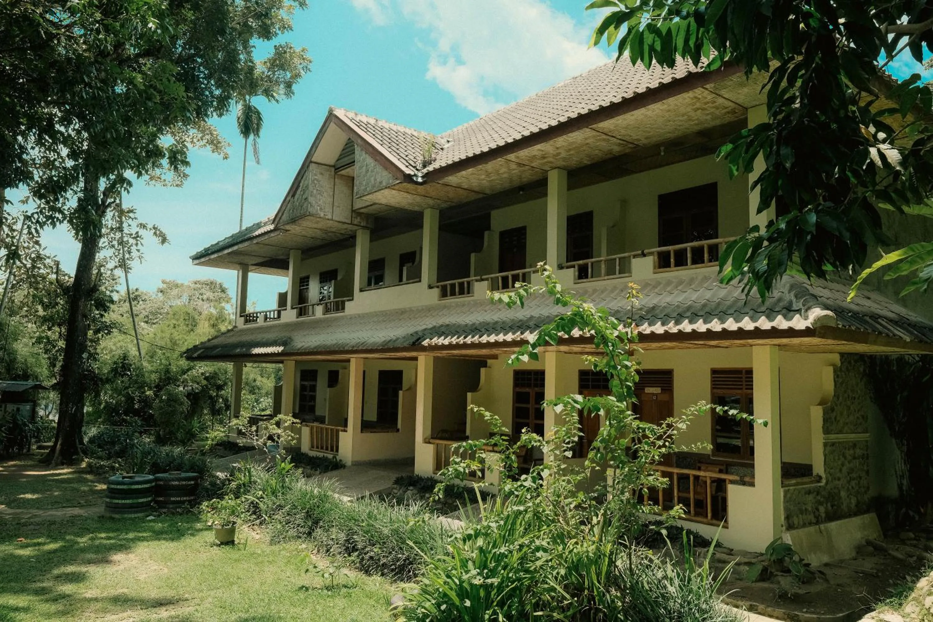 Ecolodge Bukit Lawang