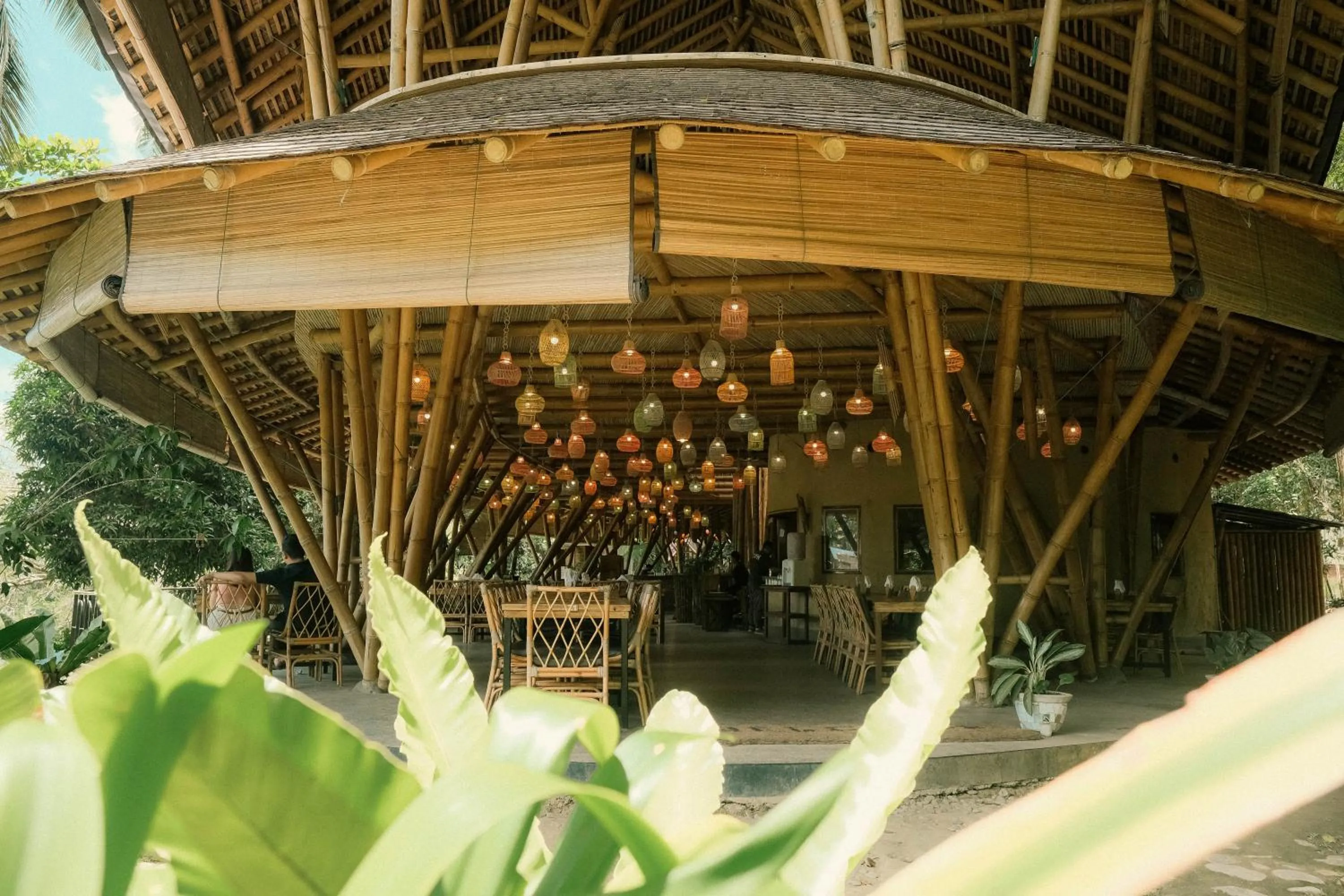 Ecolodge Bukit Lawang