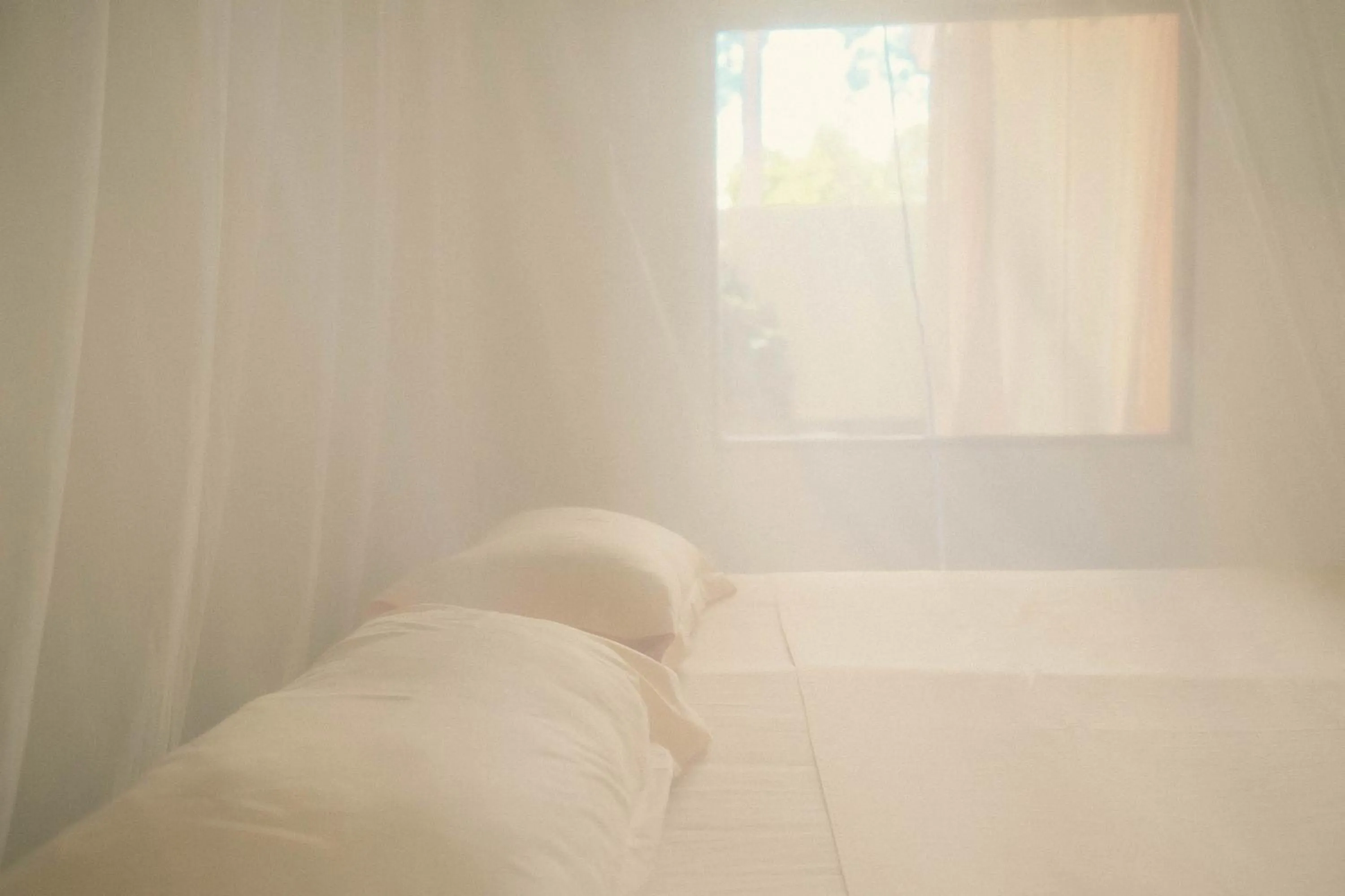 Bed in Ecolodge Bukit Lawang