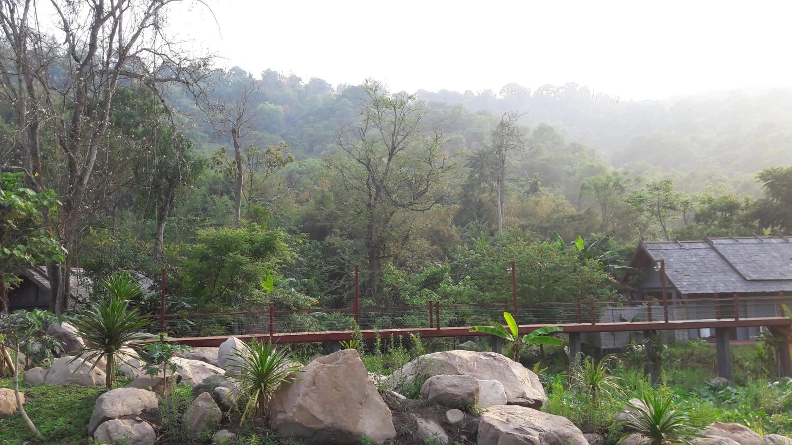 Garden in Namkat Yorla Pa Resort