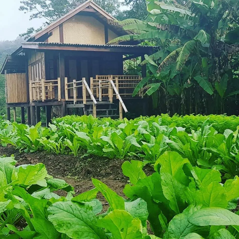 Garden in Namkat Yorla Pa Resort