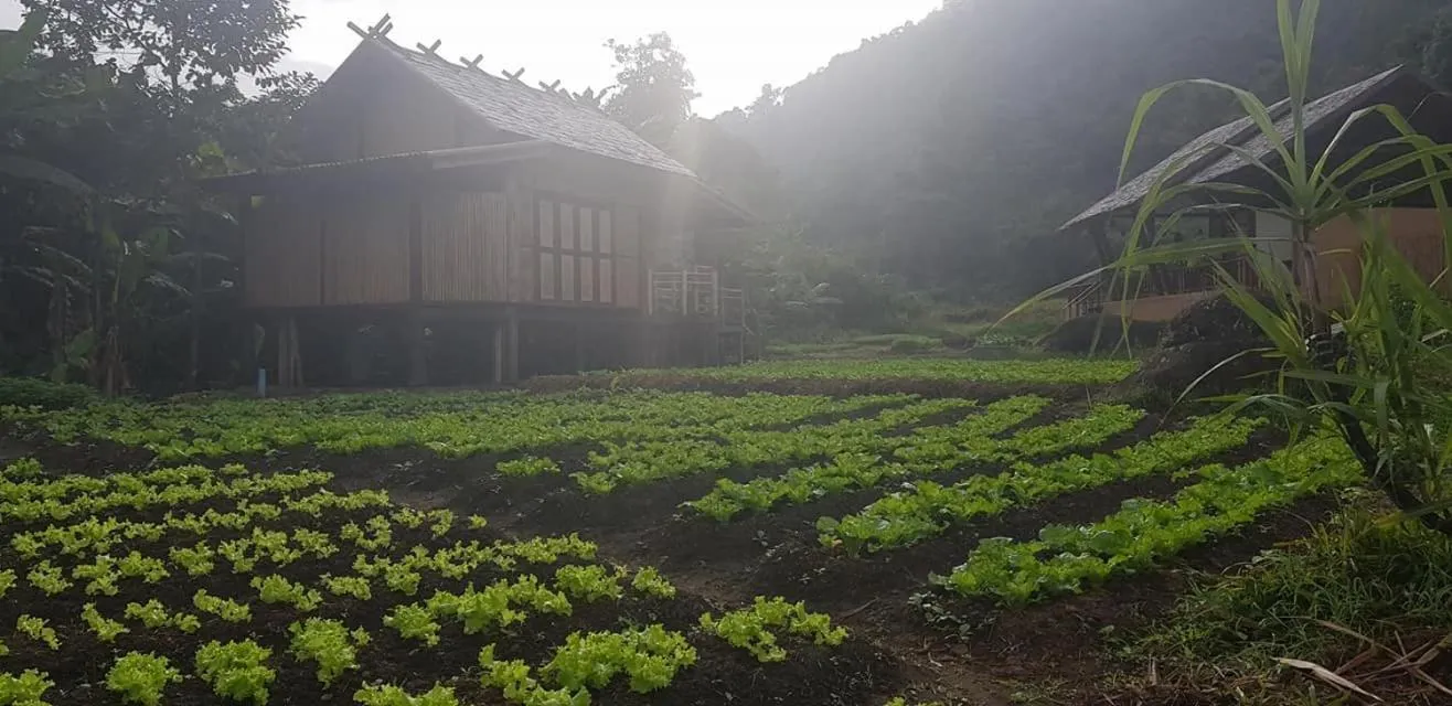 Off site in Namkat Yorla Pa Resort