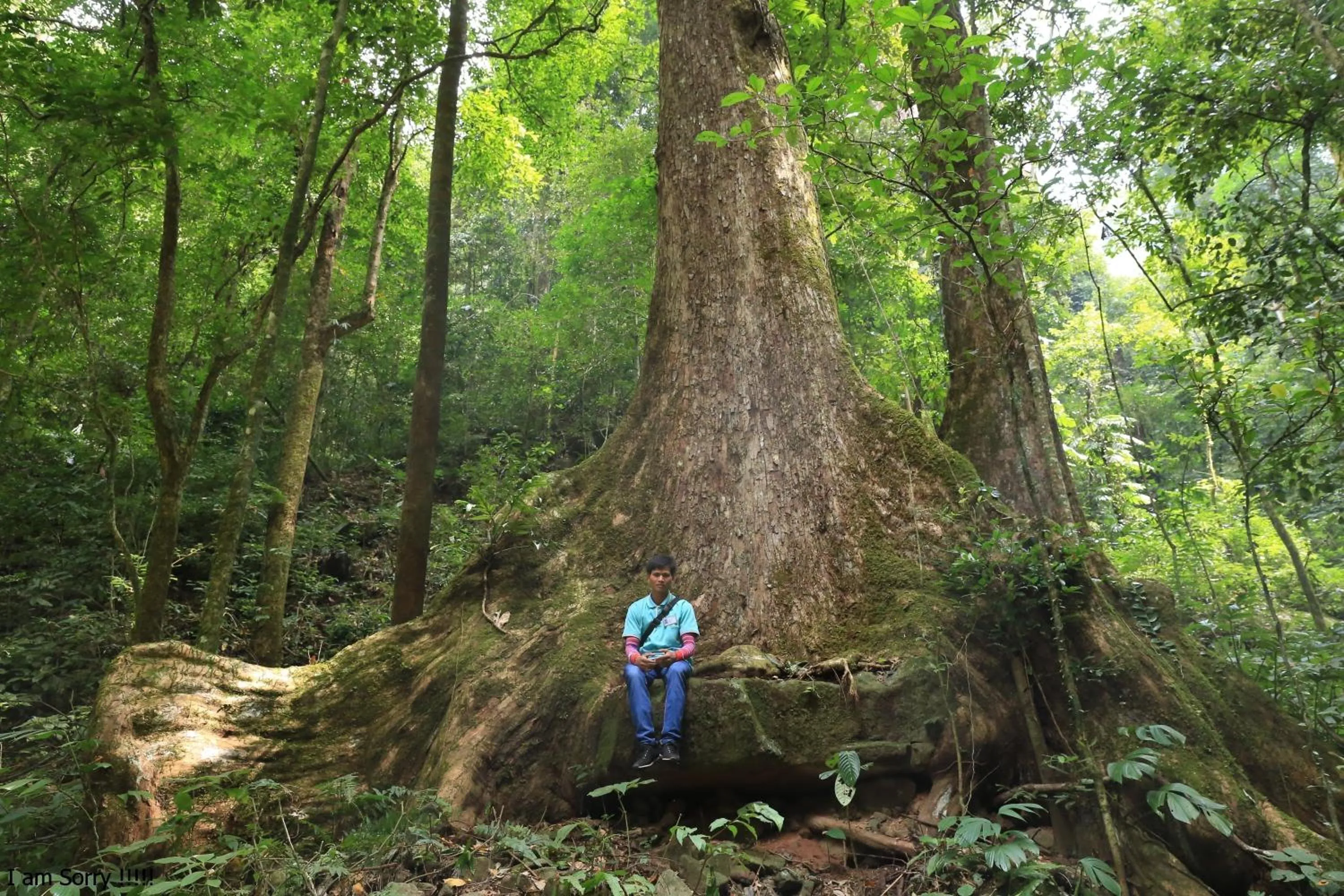 Hiking in Namkat Yorla Pa Resort