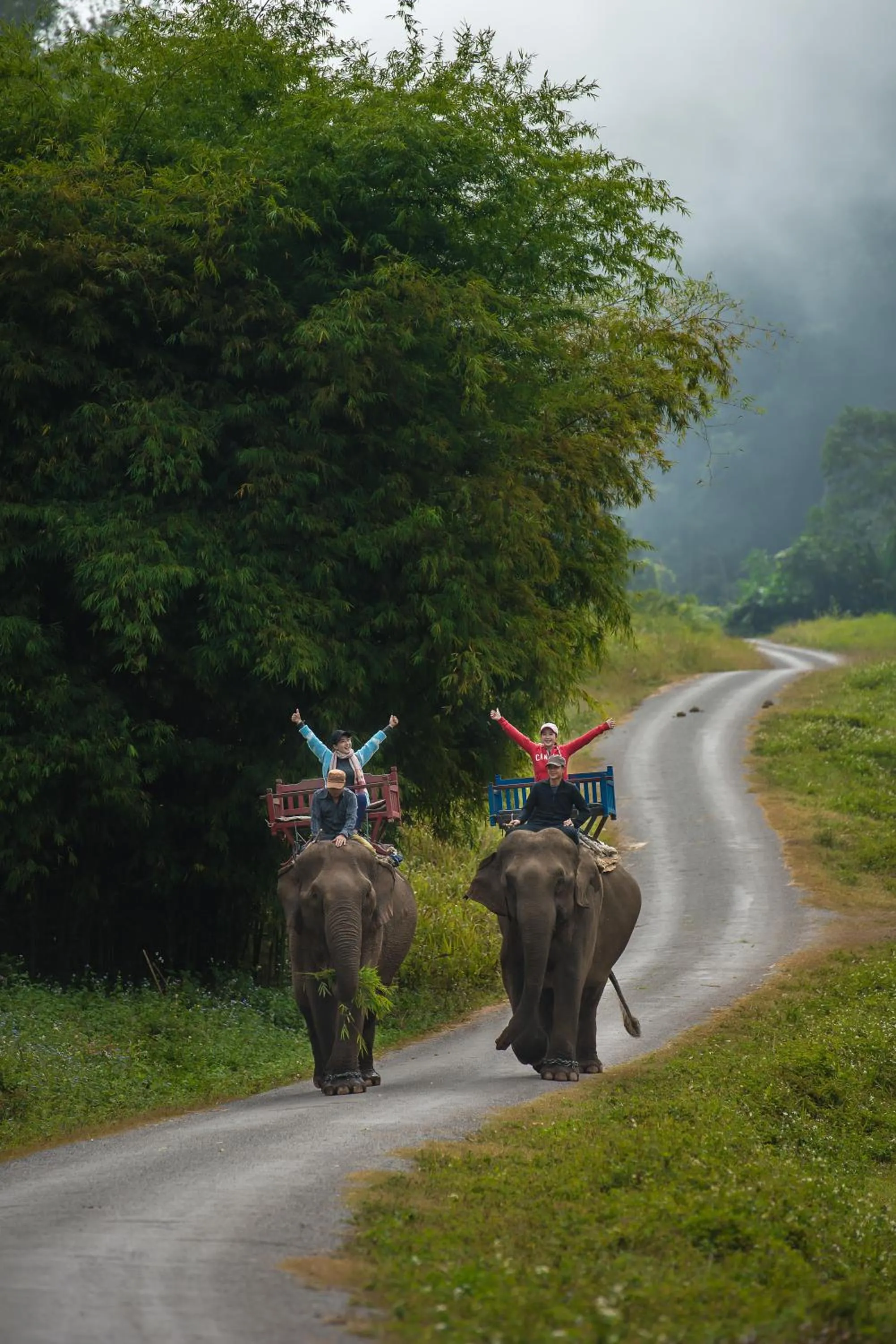Animals in Namkat Yorla Pa Resort