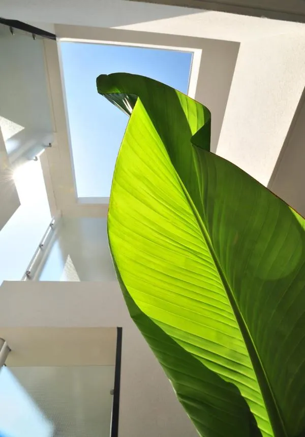 Decorative detail in Hotel Eden Park Pau Est, avec Piscine