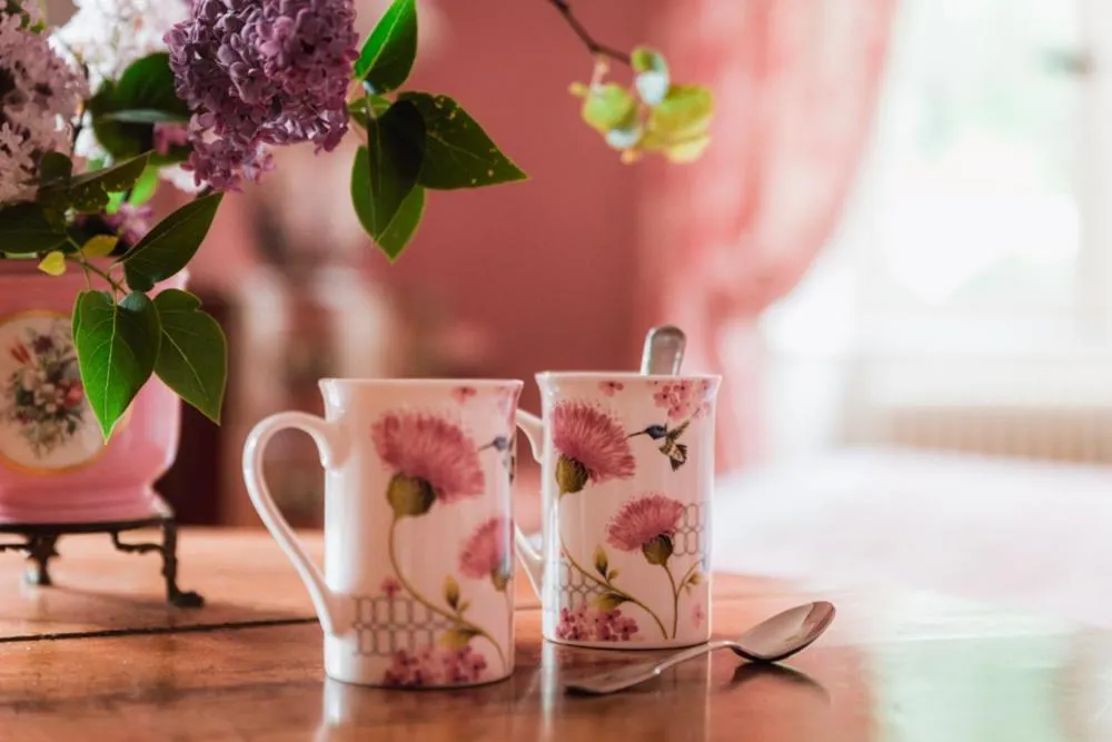 Château du Plessis - Anjou