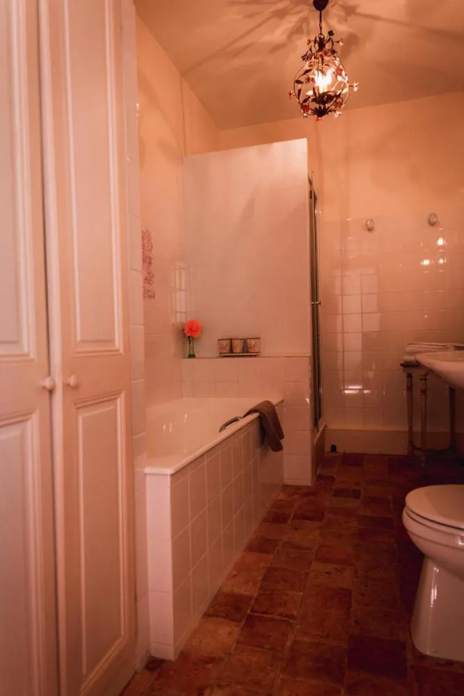 Château du Plessis - Anjou