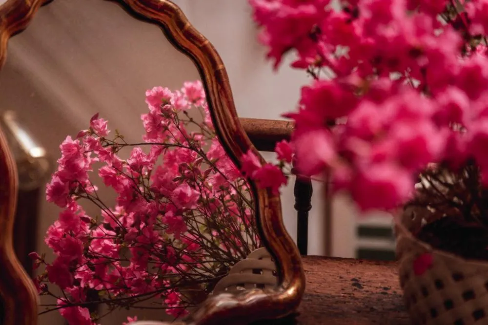 Château du Plessis - Anjou