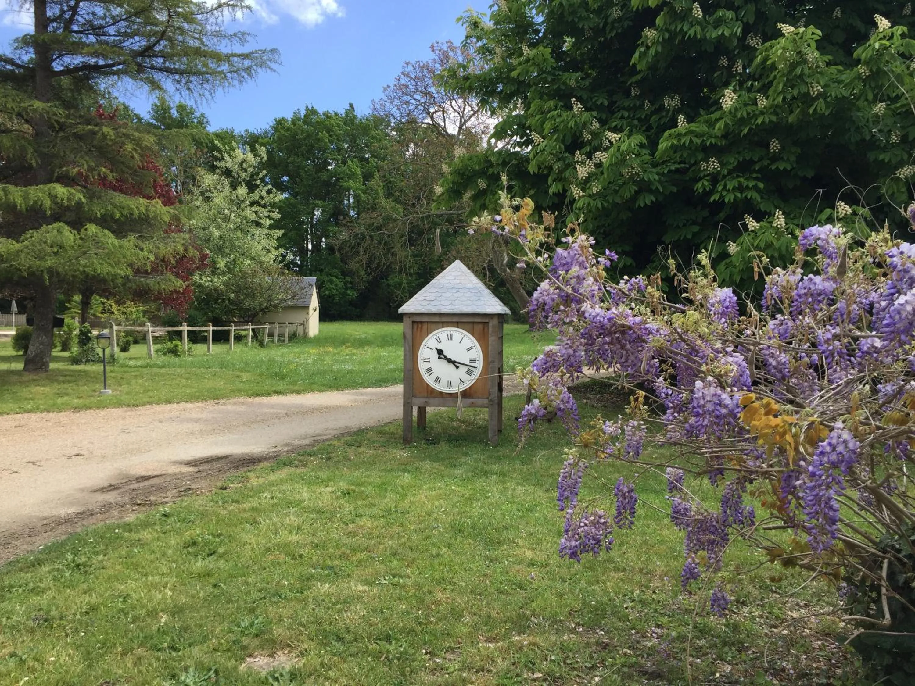 Garden in Château De La Coutancière