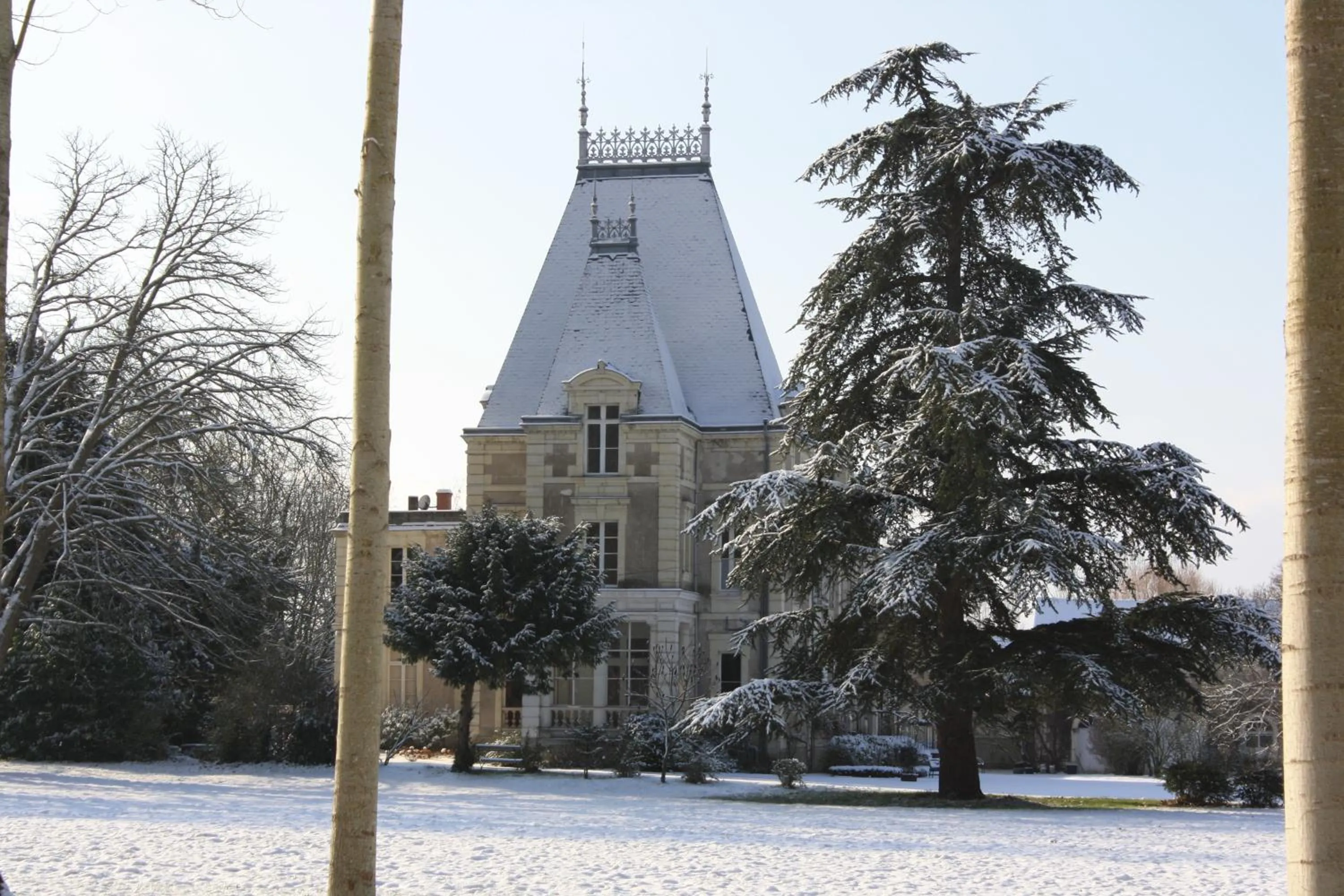 Garden in Château De La Coutancière