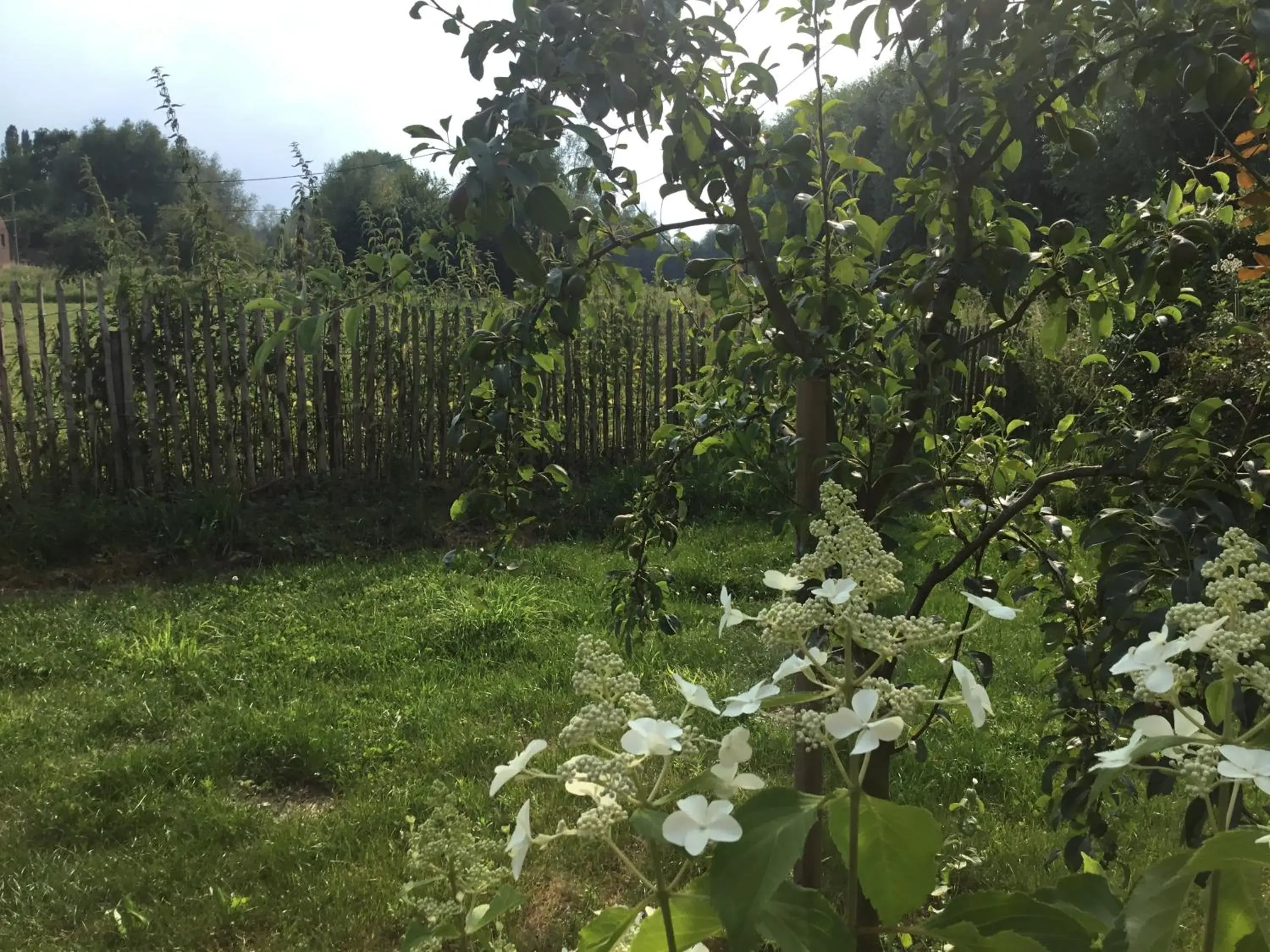 Bulles et Natures B&B Bulles et Natures B&B