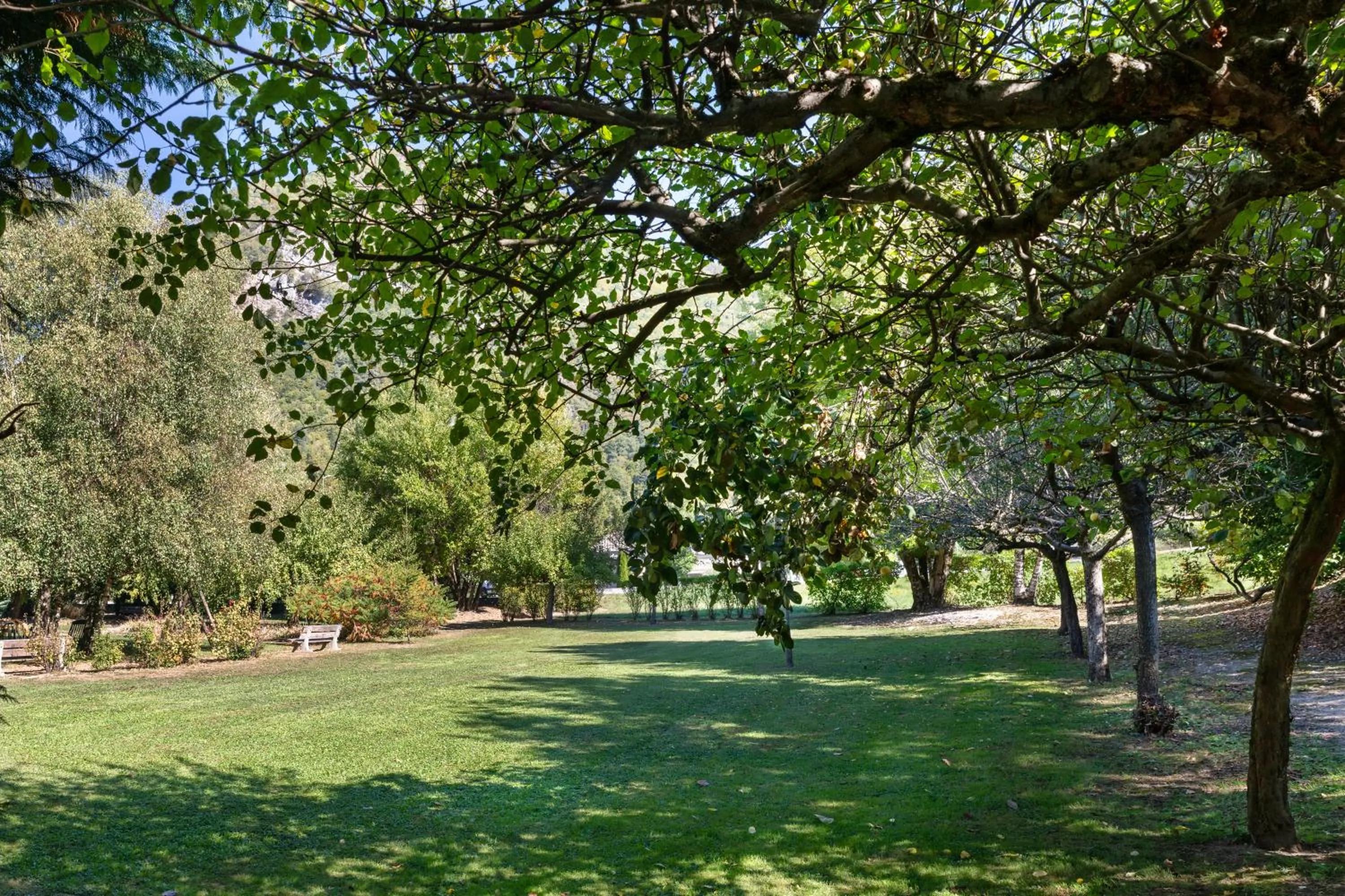 Garden in Brit Hotel Florimont