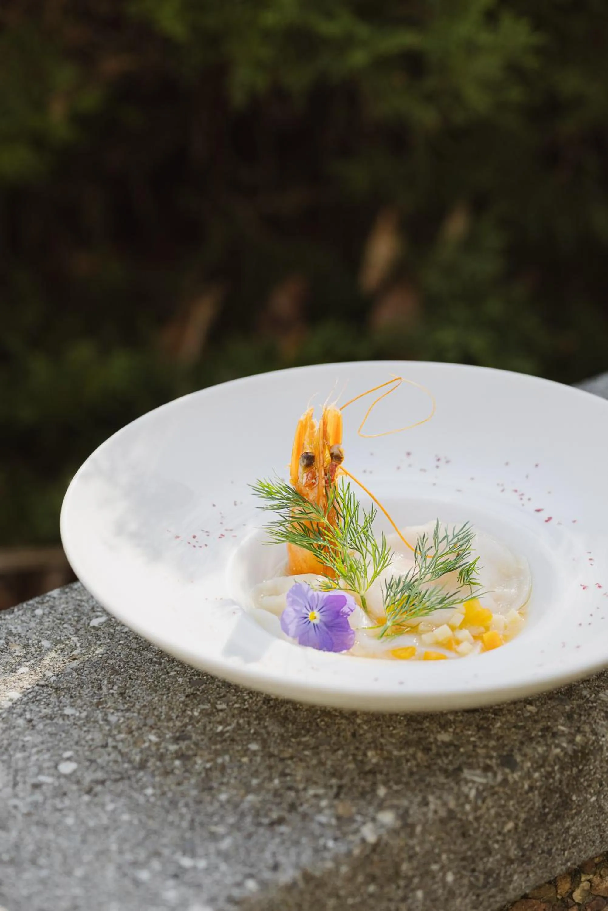 Restaurant/places to eat in Brit Hotel Florimont