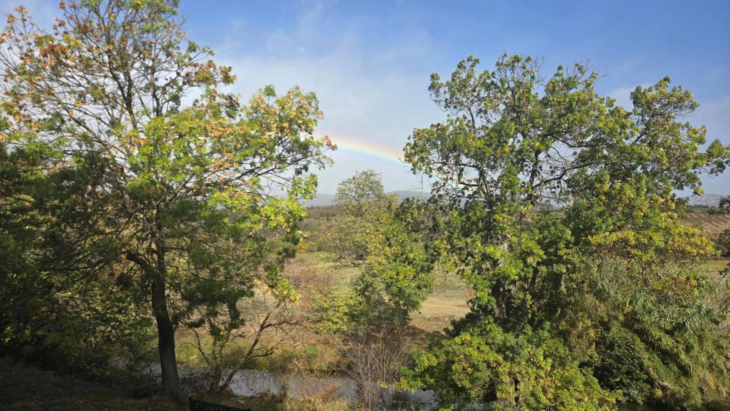View (from property/room) in Hôtel Restaurant Mas Le Châtelet