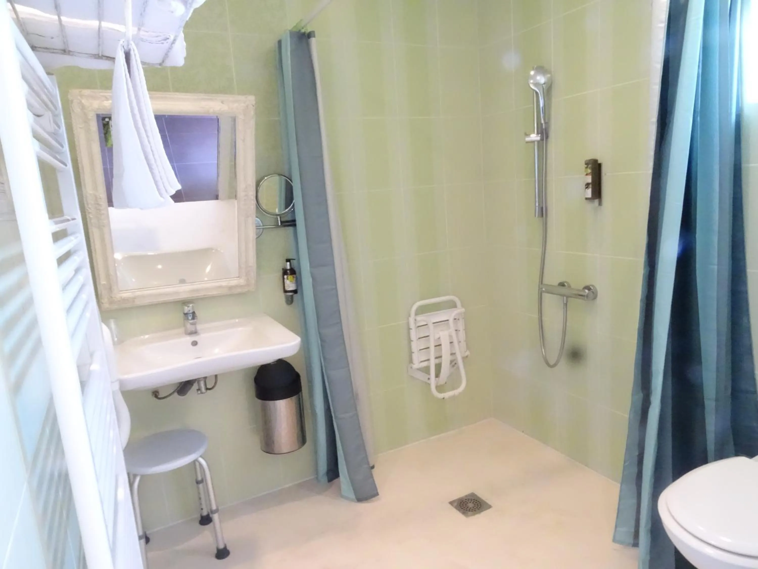 Shower in Logis Hôtel Restaurant Spa L'auberge Du President