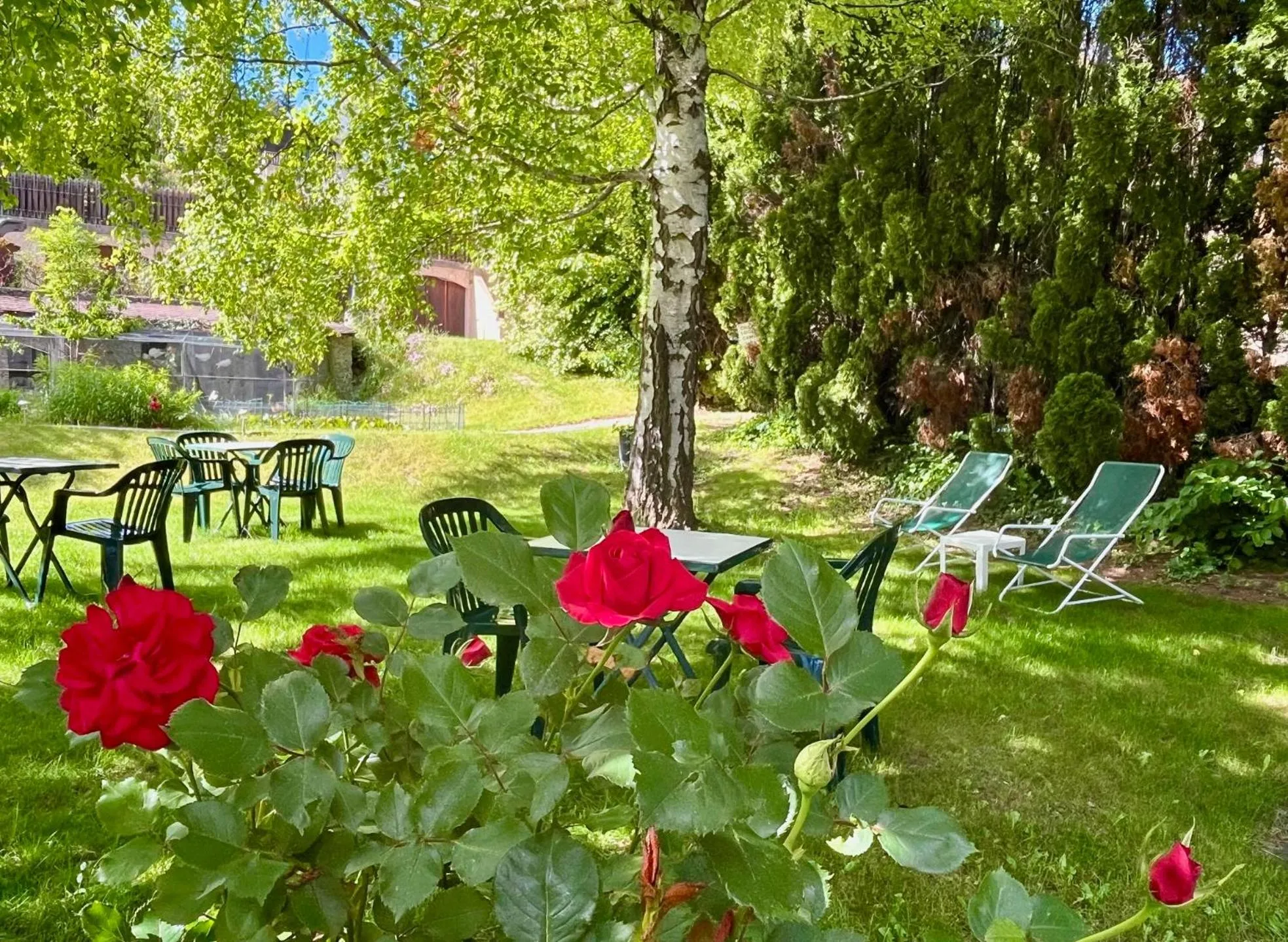 Patio in Le Catinat Fleuri