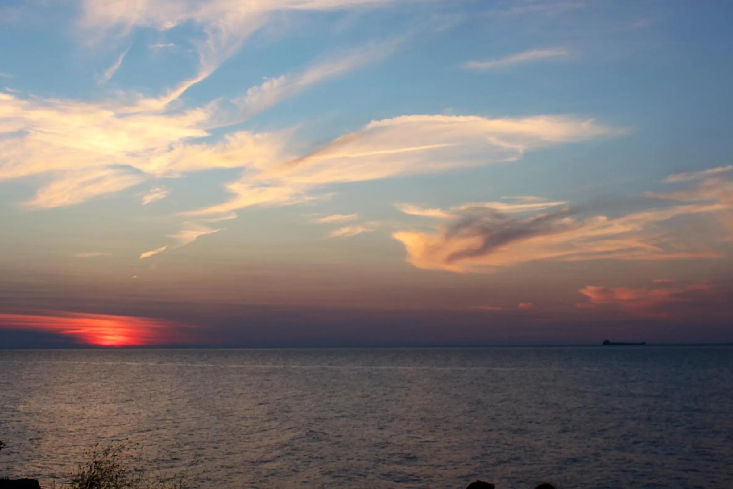 Property building in Westwood Cottage License #059-2024