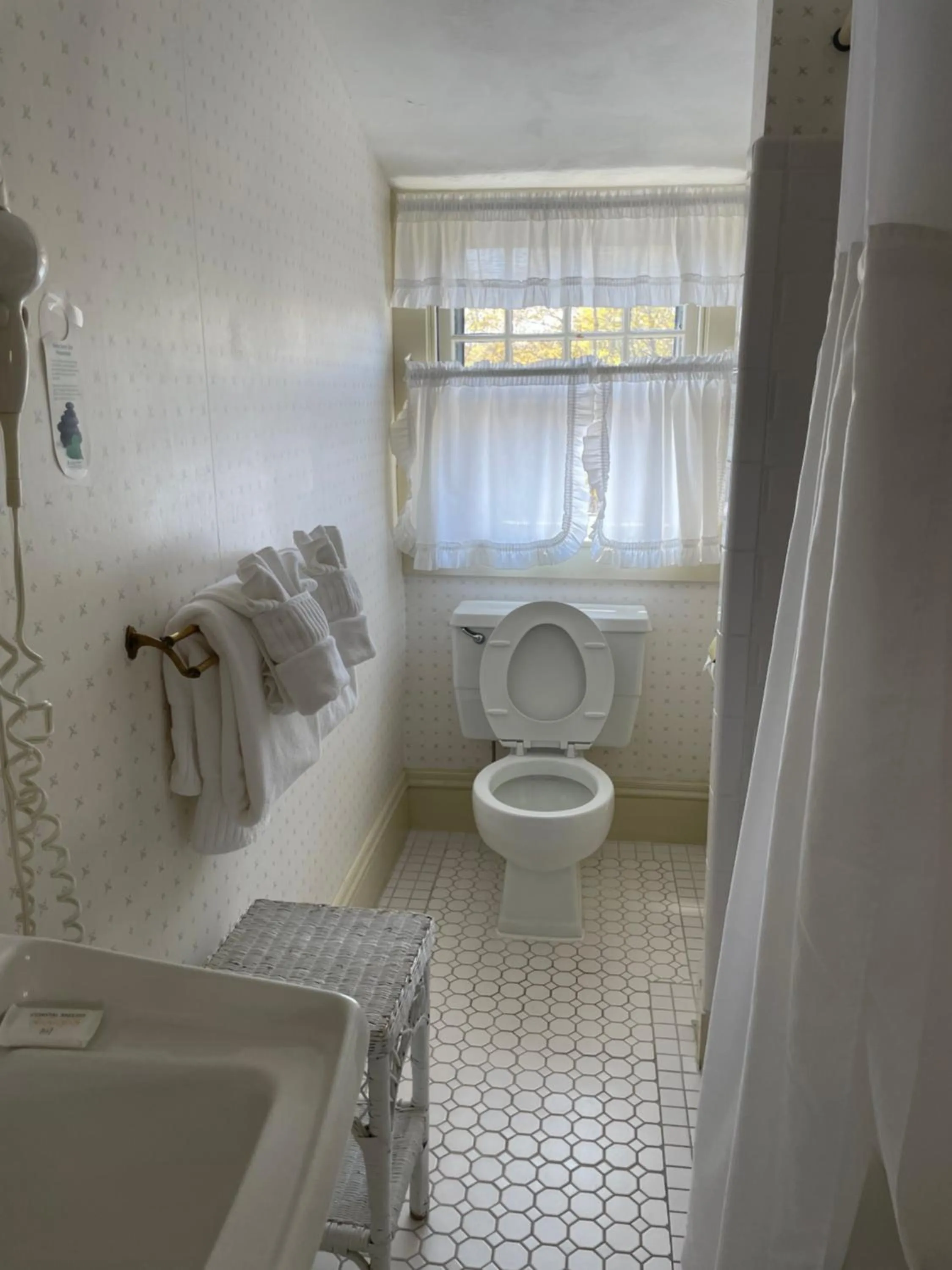 Moseley Cottage Inn and The Town Motel