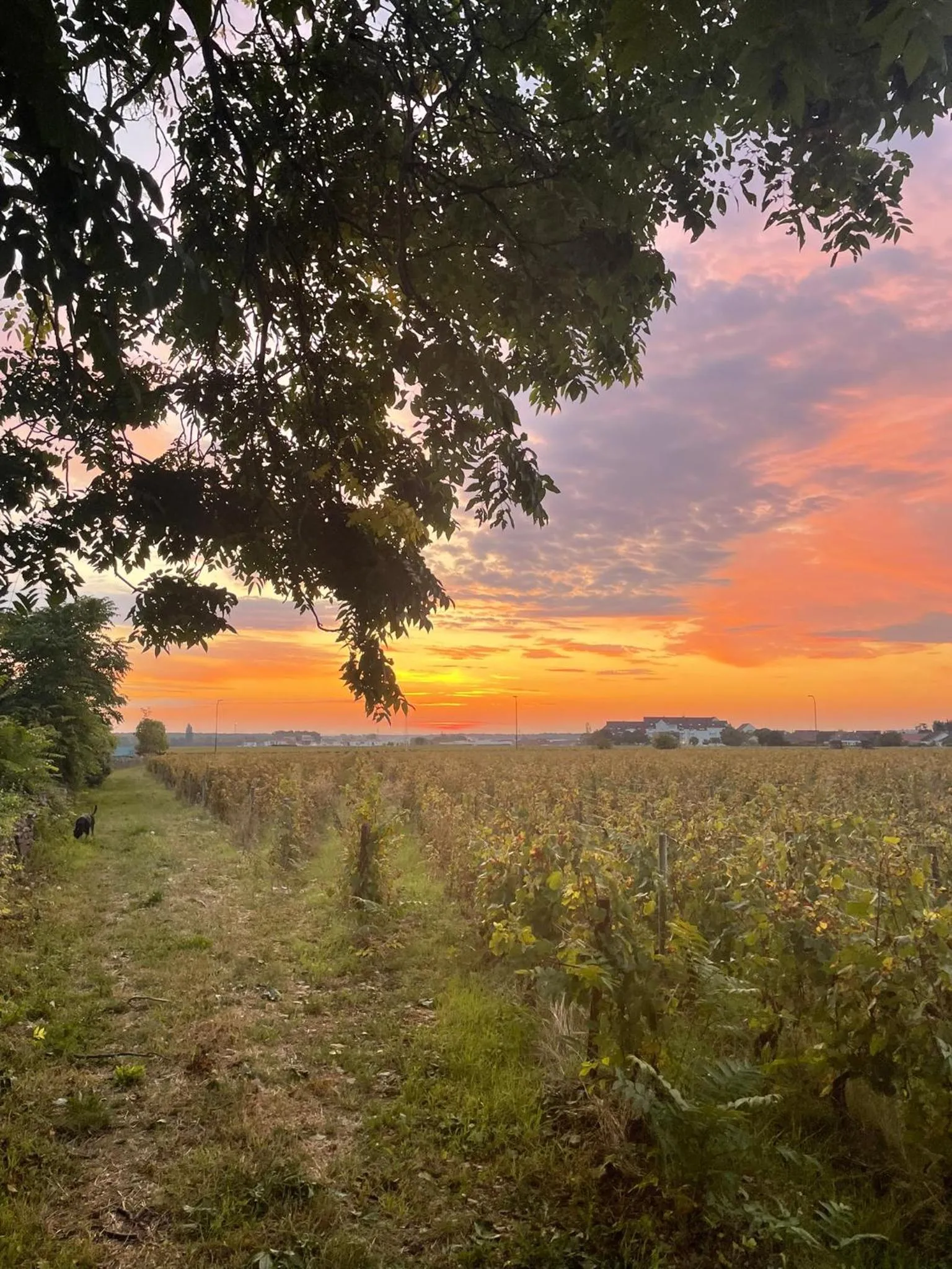 Spring in Hôtel Le Clos des Arts