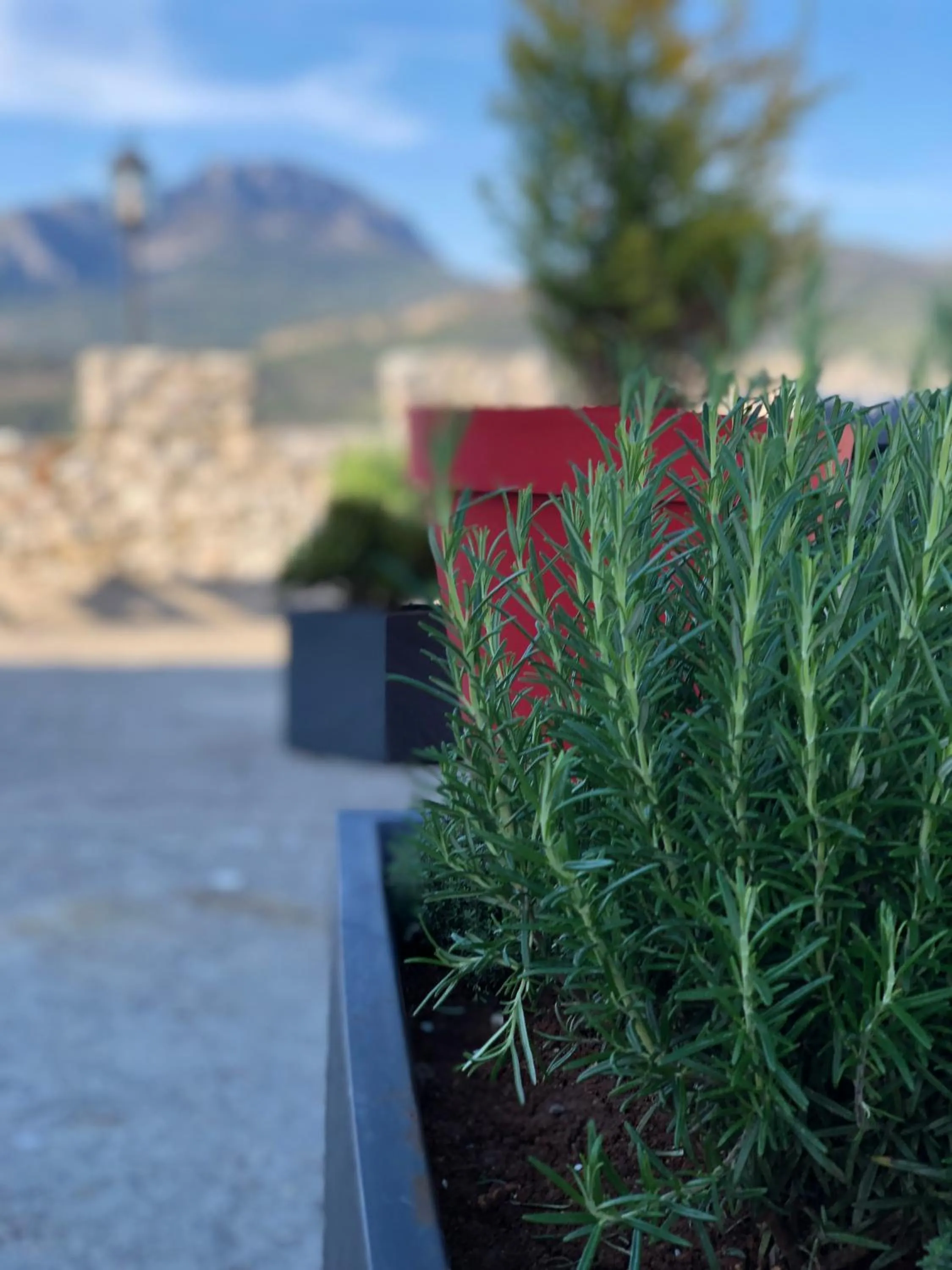 Garden view in Château de Trigance