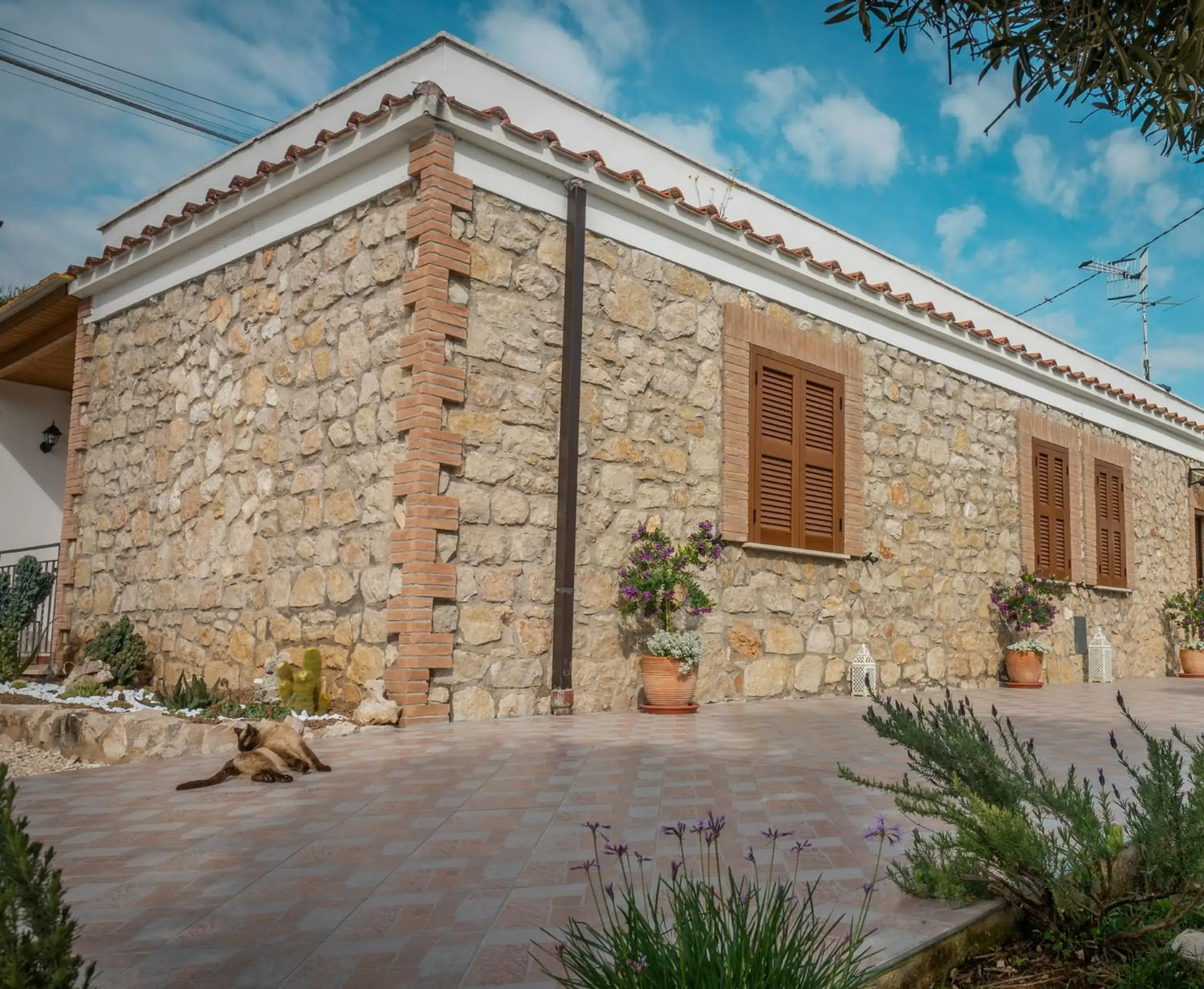 Agriturismo Country Casale Rufo Agriturismo Country Casale Rufo