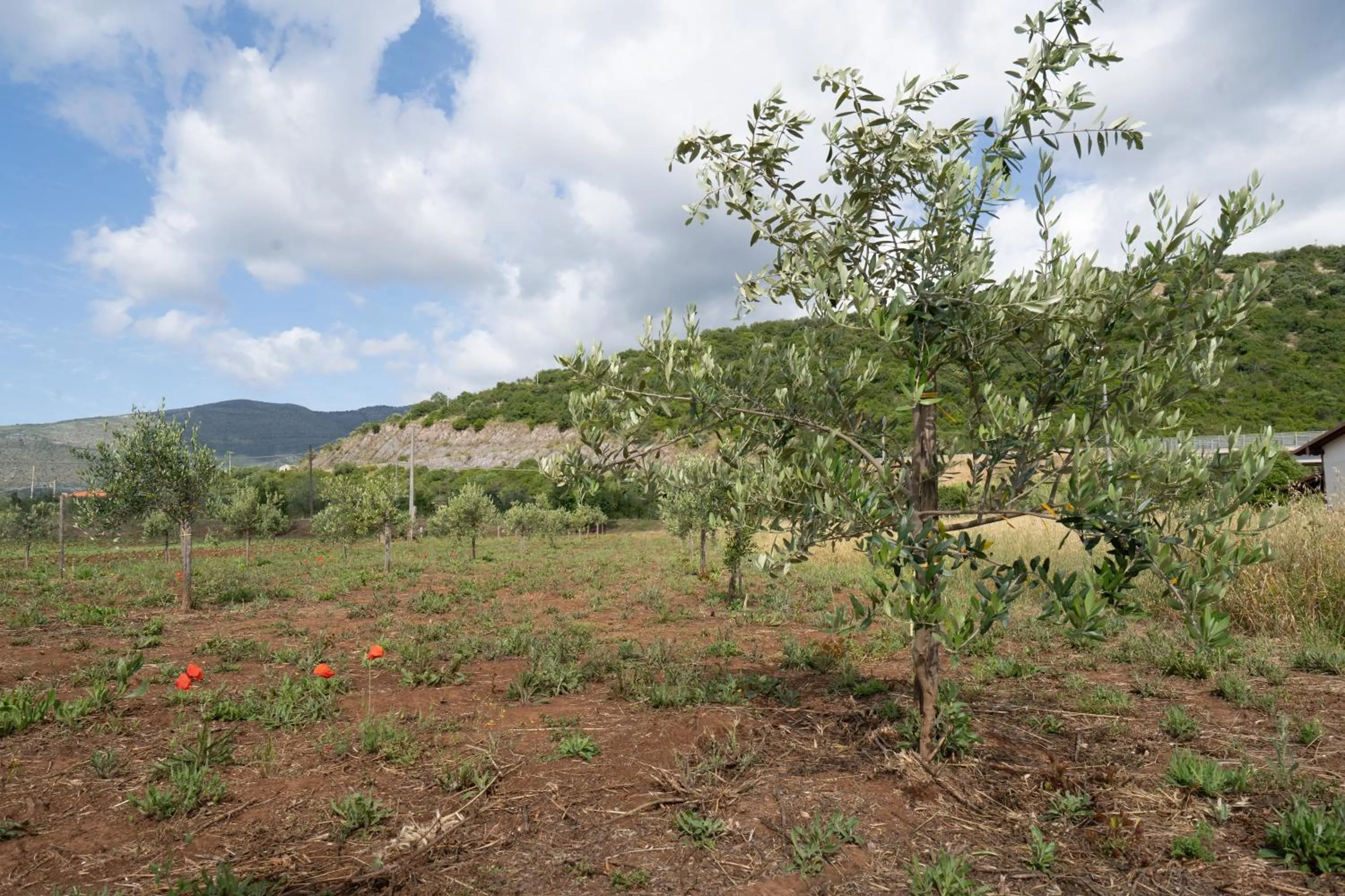 Natural landscape in Agriturismo Country Casale Rufo