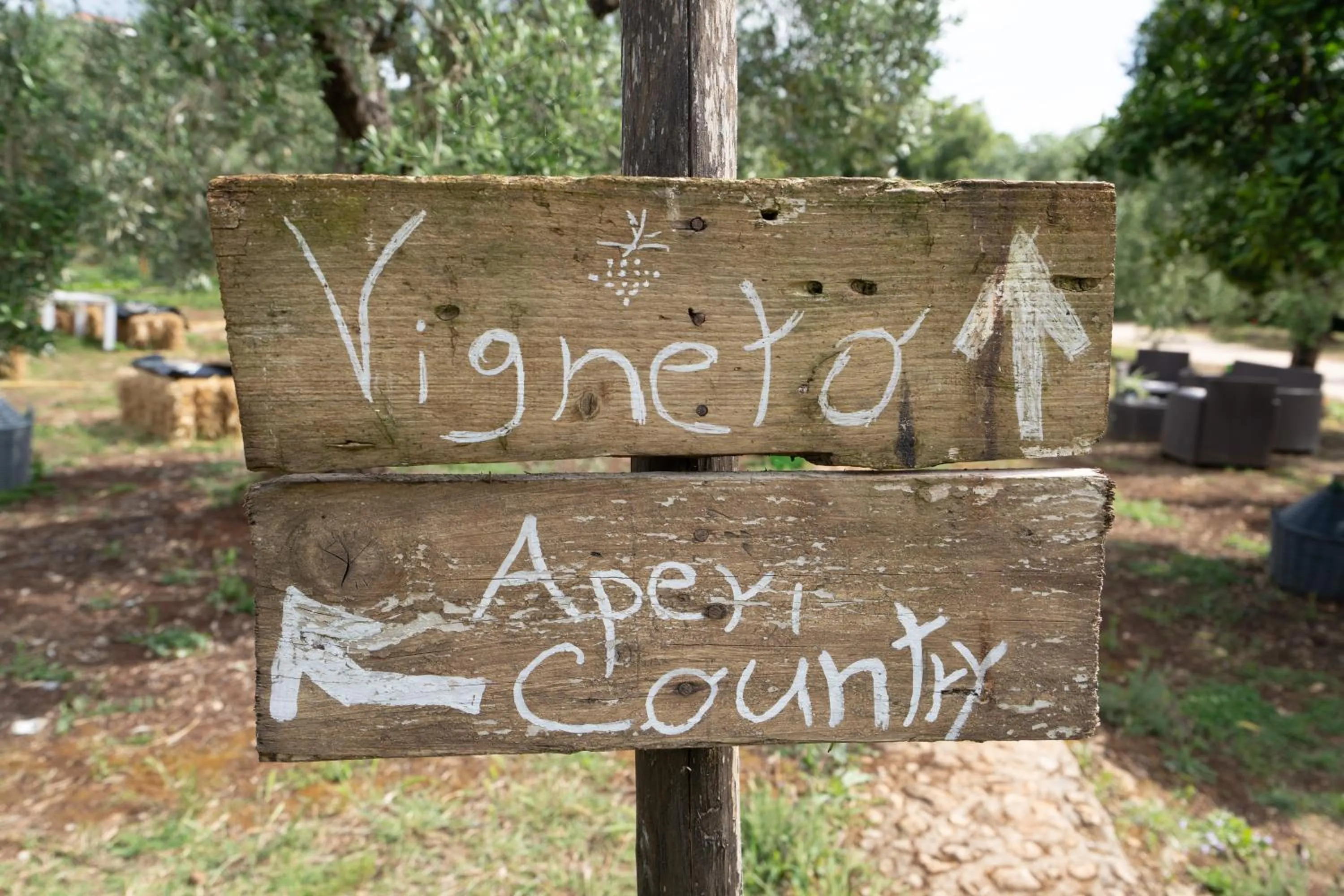 Natural landscape in Agriturismo Country Casale Rufo