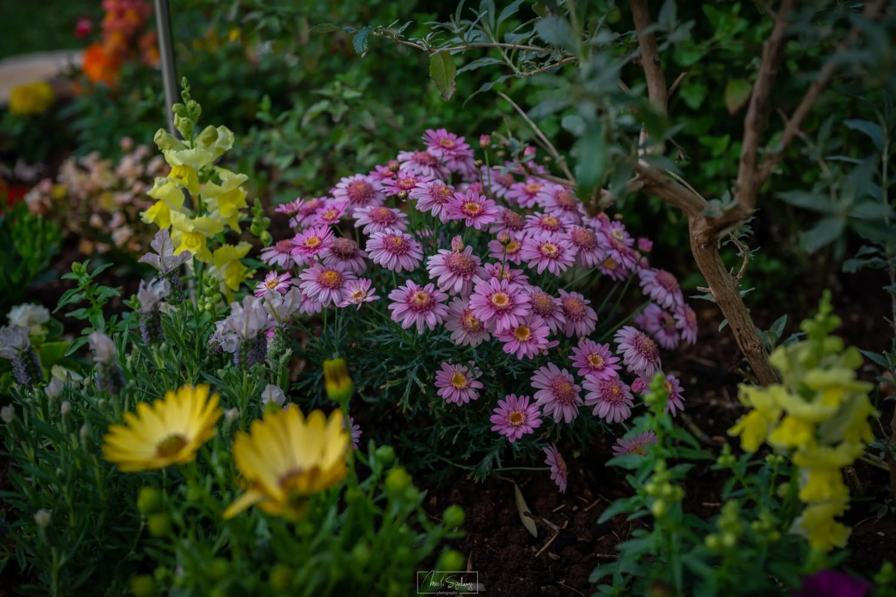 Natural landscape in Agriturismo Country Casale Rufo